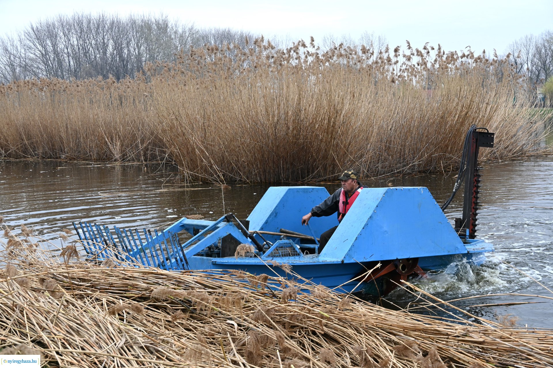Nádvágás a Bujtoson