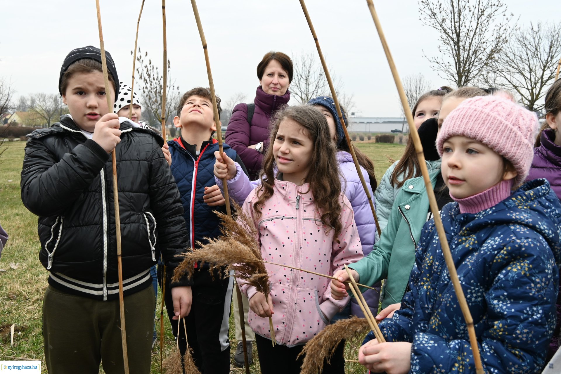 Nádvágás a Bujtoson