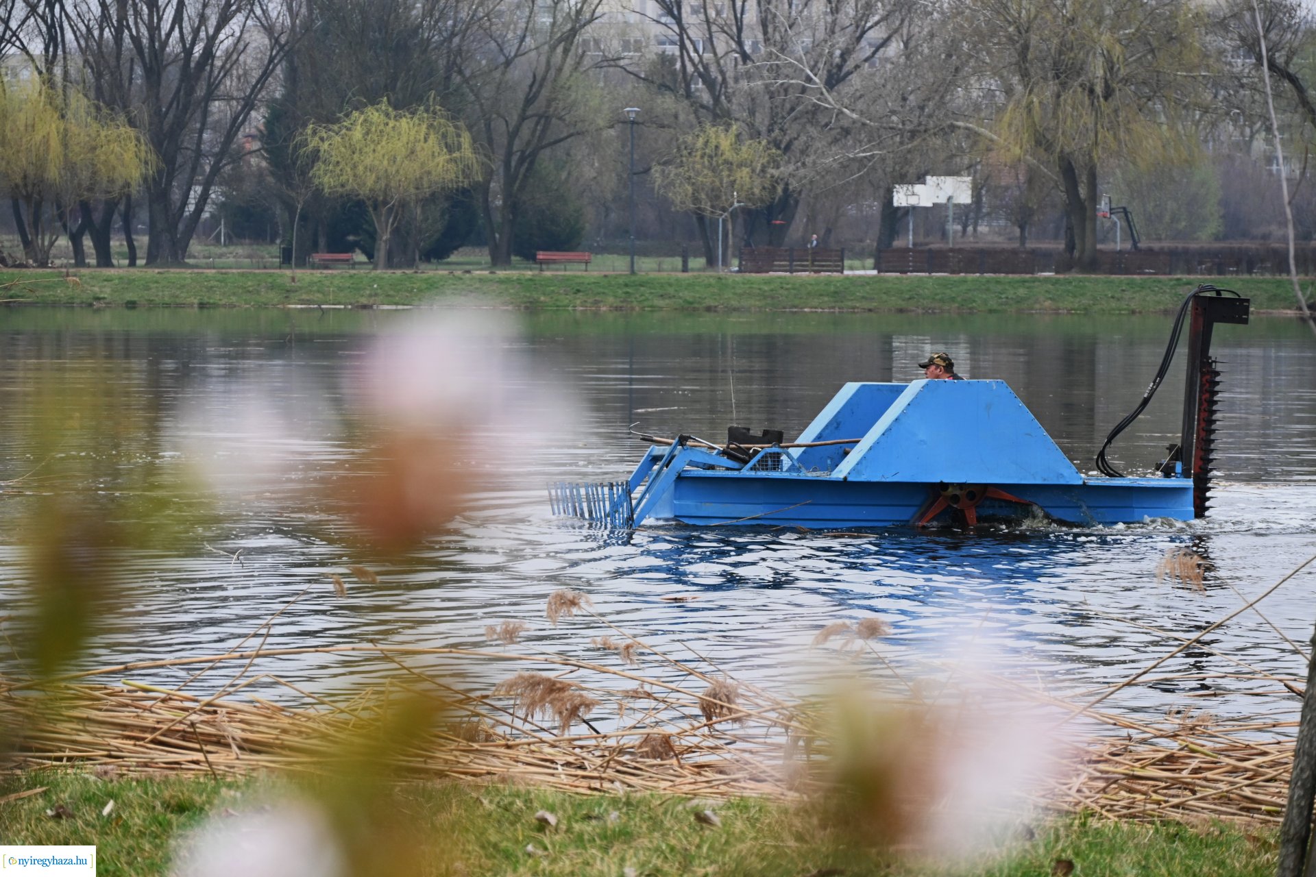 Nádvágás a Bujtoson