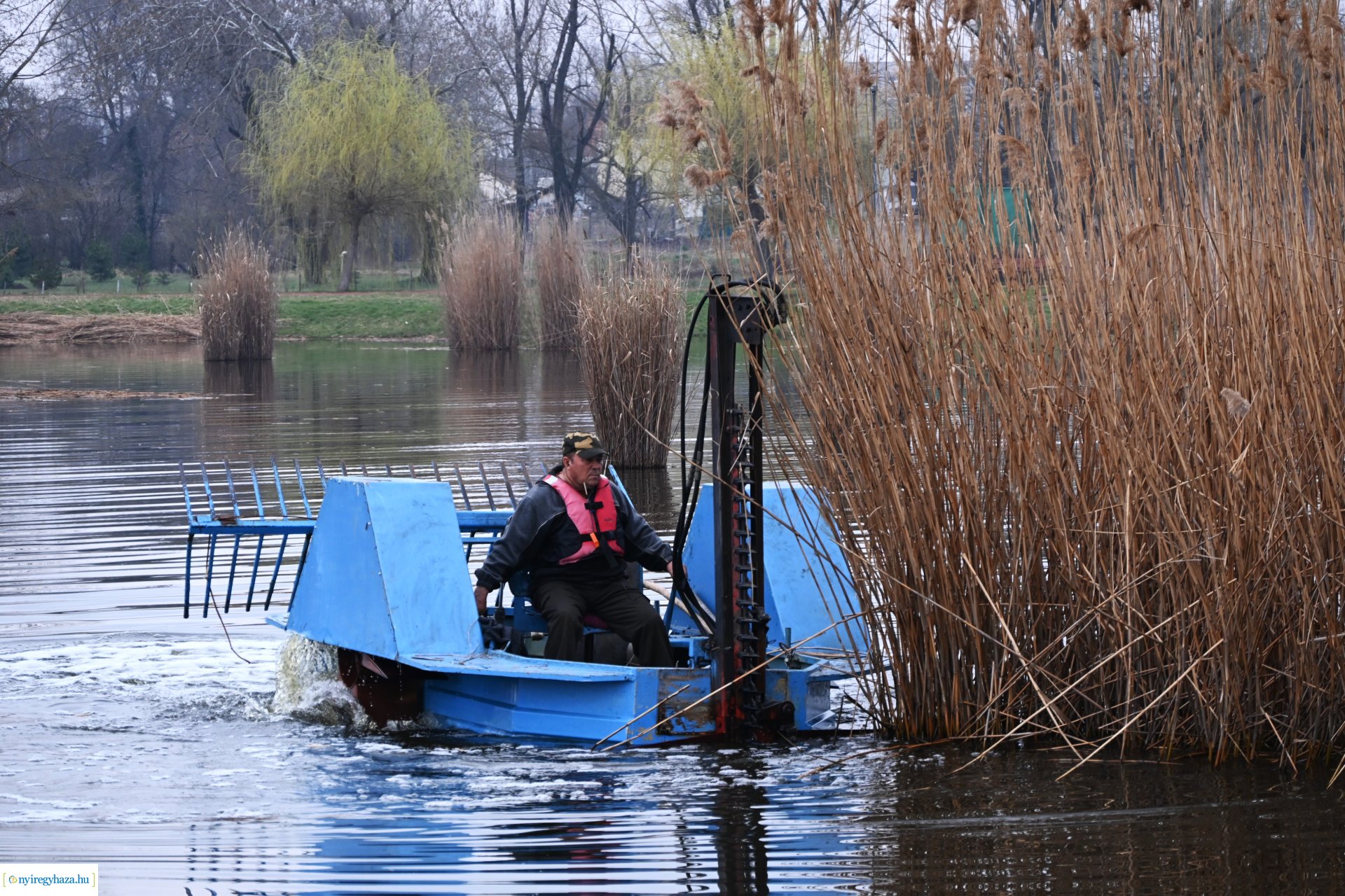 Nádvágás a Bujtoson