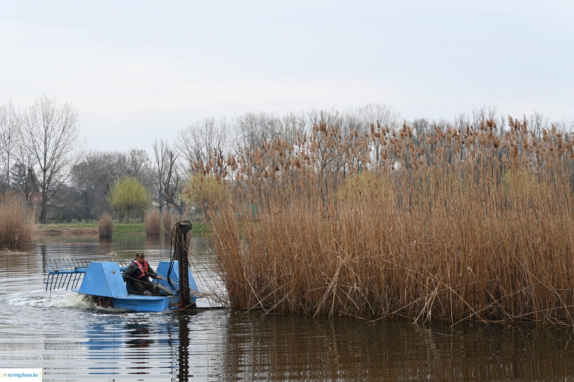 Nádvágás a Bujtoson