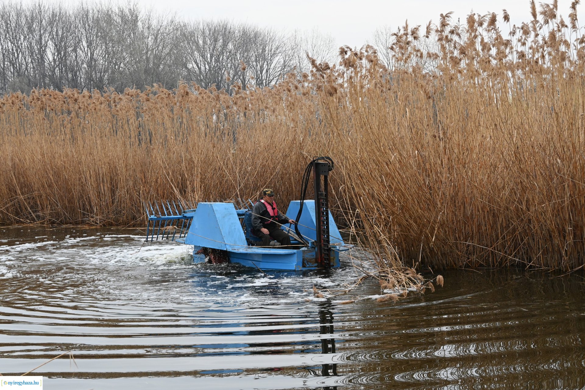 Nádvágás a Bujtoson
