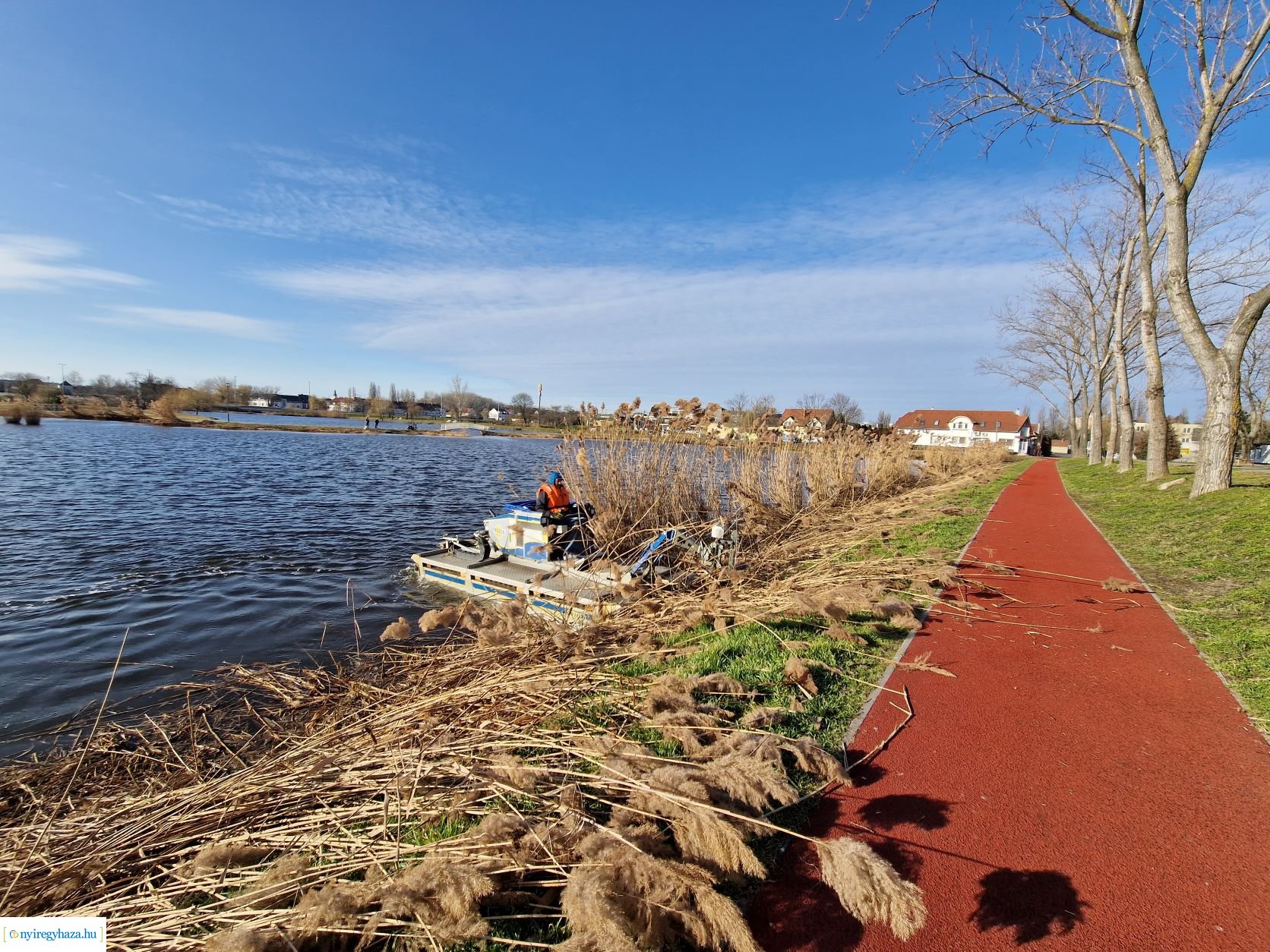 Nádvágási munkálatok a Bujtosi-tó körül