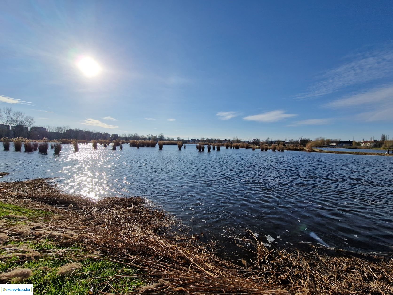 Nádvágási munkálatok a Bujtosi-tó körül