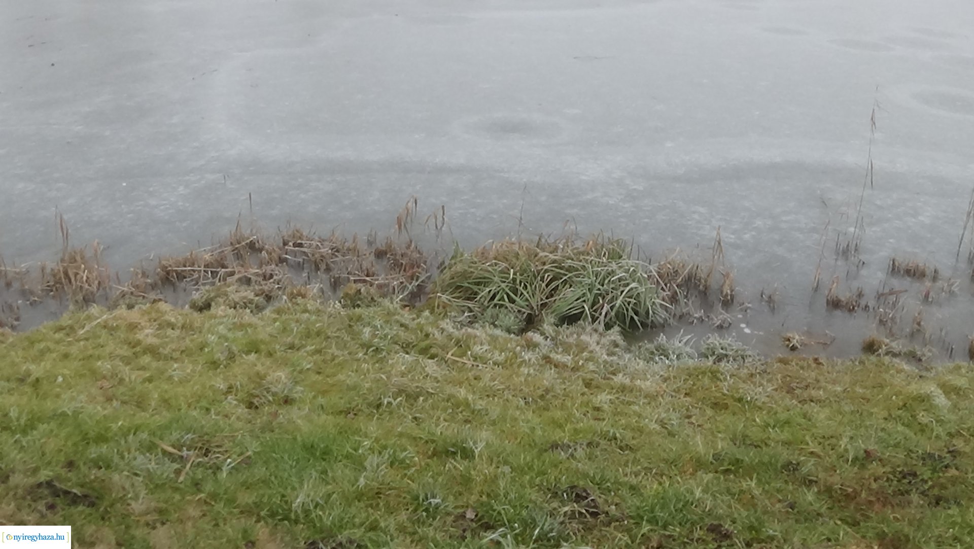 Nádvágási munkálatok a Bujtoson