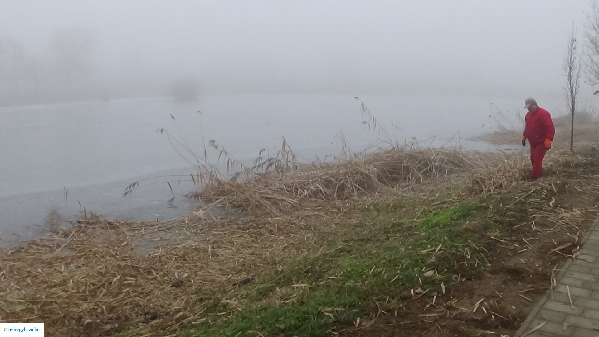 Nádvágási munkálatok a Bujtoson