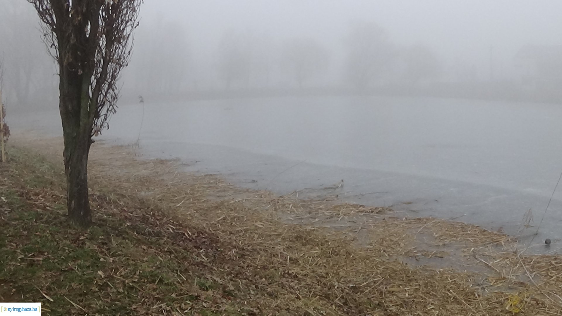 Nádvágási munkálatok a Bujtoson