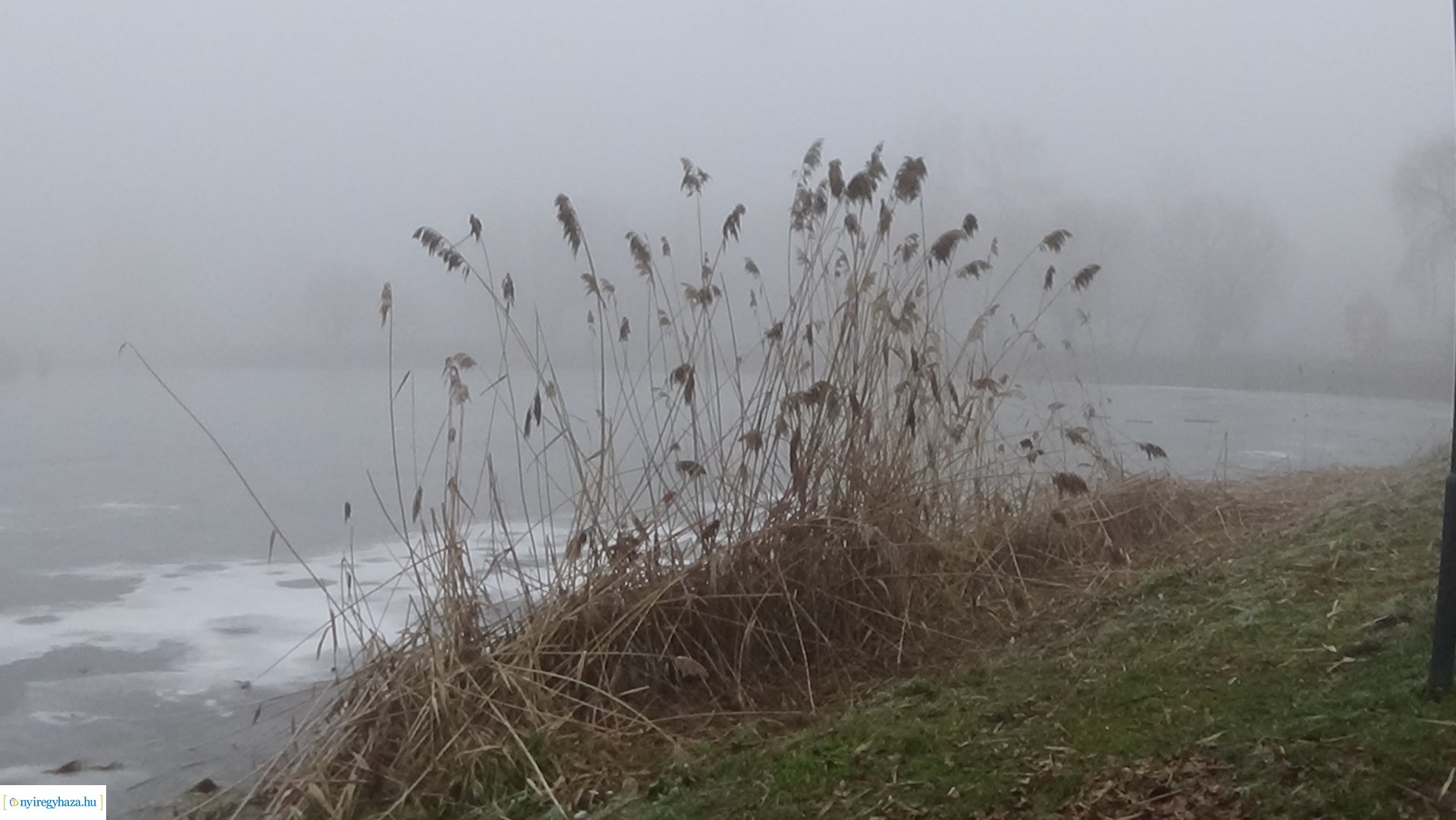 Nádvágási munkálatok a Bujtoson