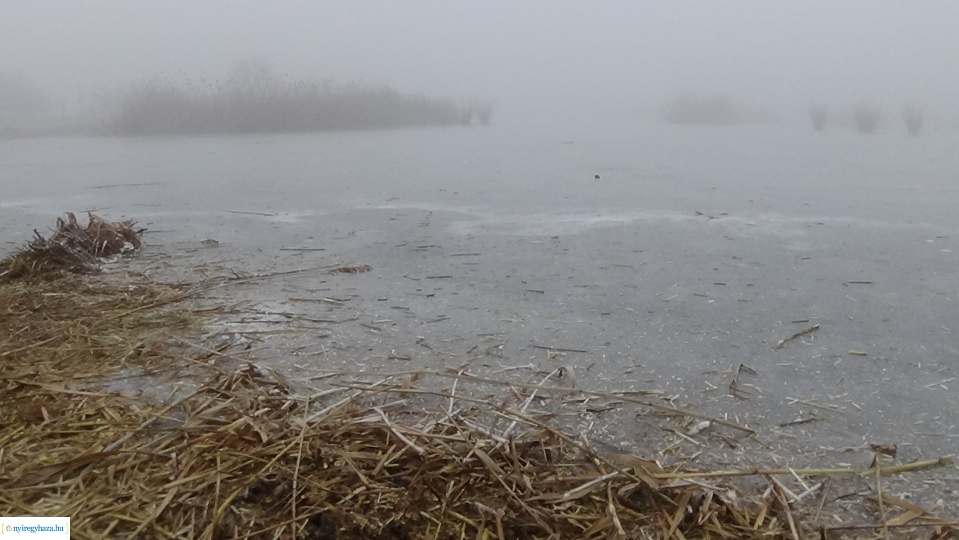 Nádvágási munkálatok a Bujtoson