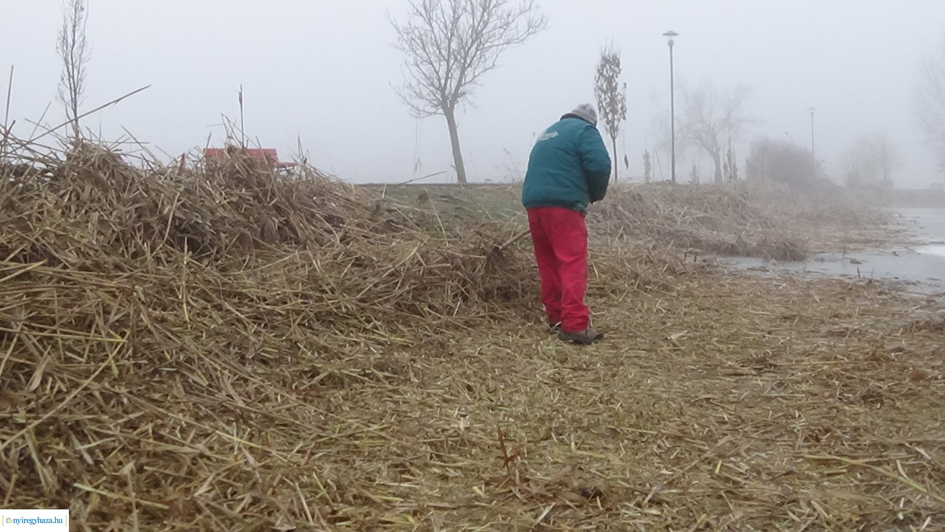 Nádvágási munkálatok a Bujtoson