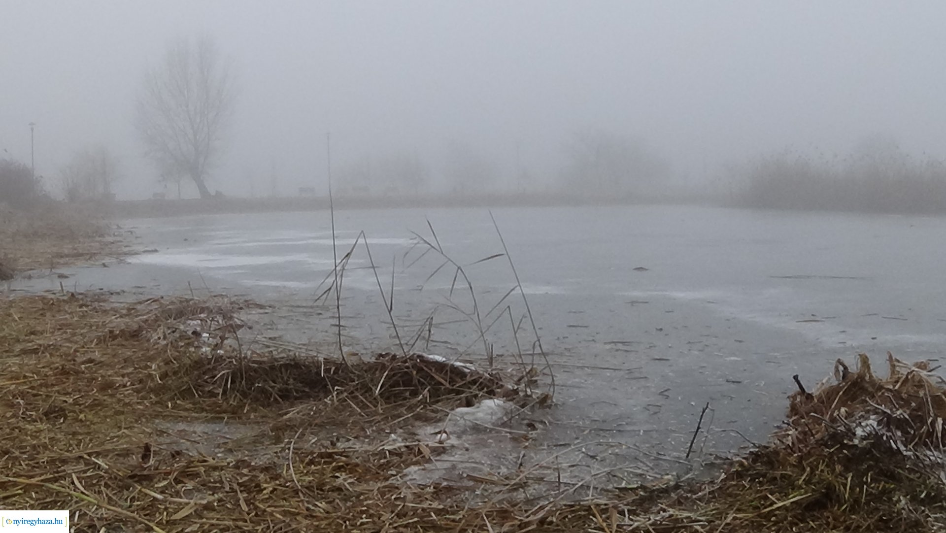 Nádvágási munkálatok a Bujtoson
