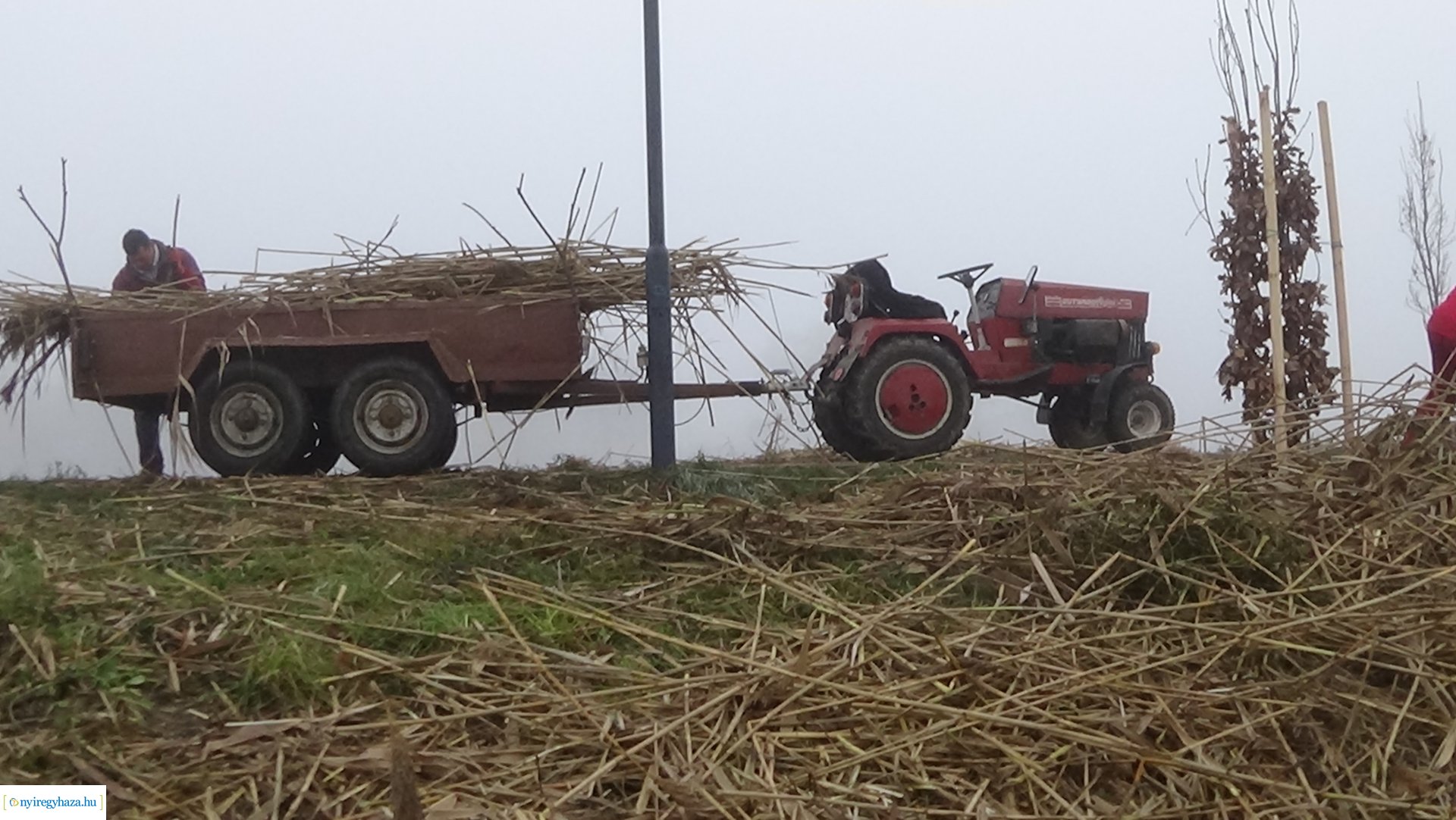 Nádvágási munkálatok a Bujtoson