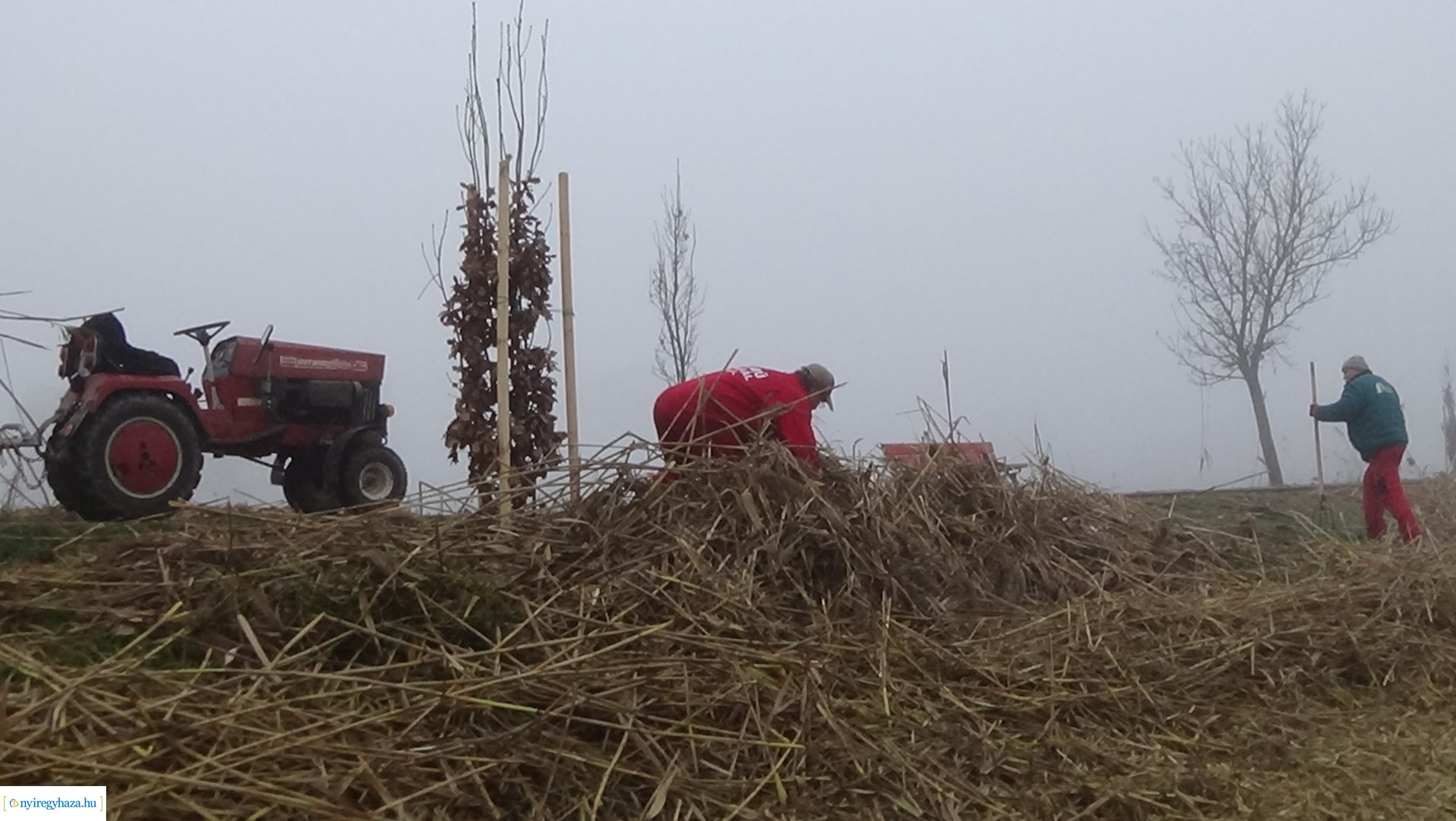 Nádvágási munkálatok a Bujtoson