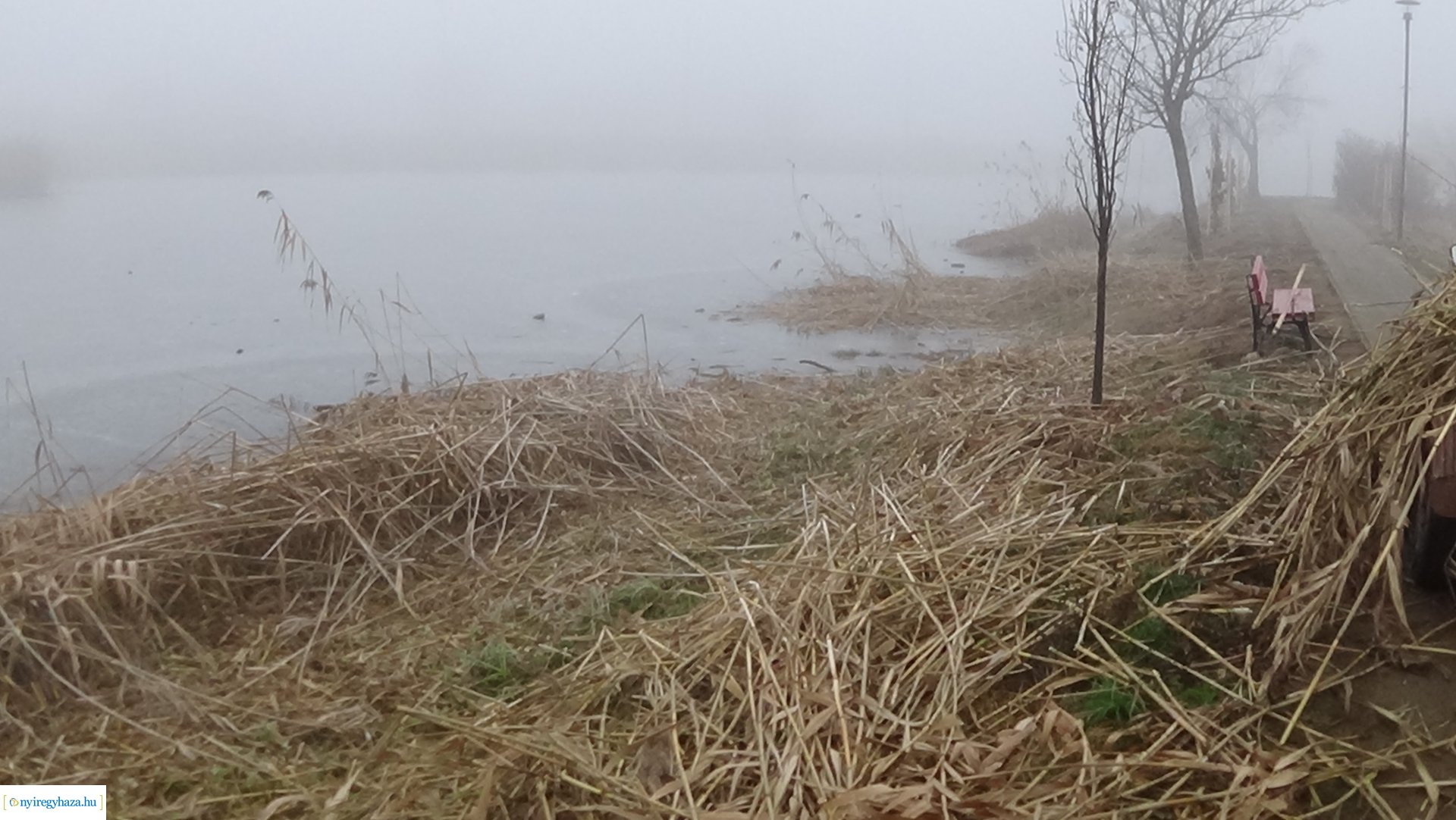 Nádvágási munkálatok a Bujtoson