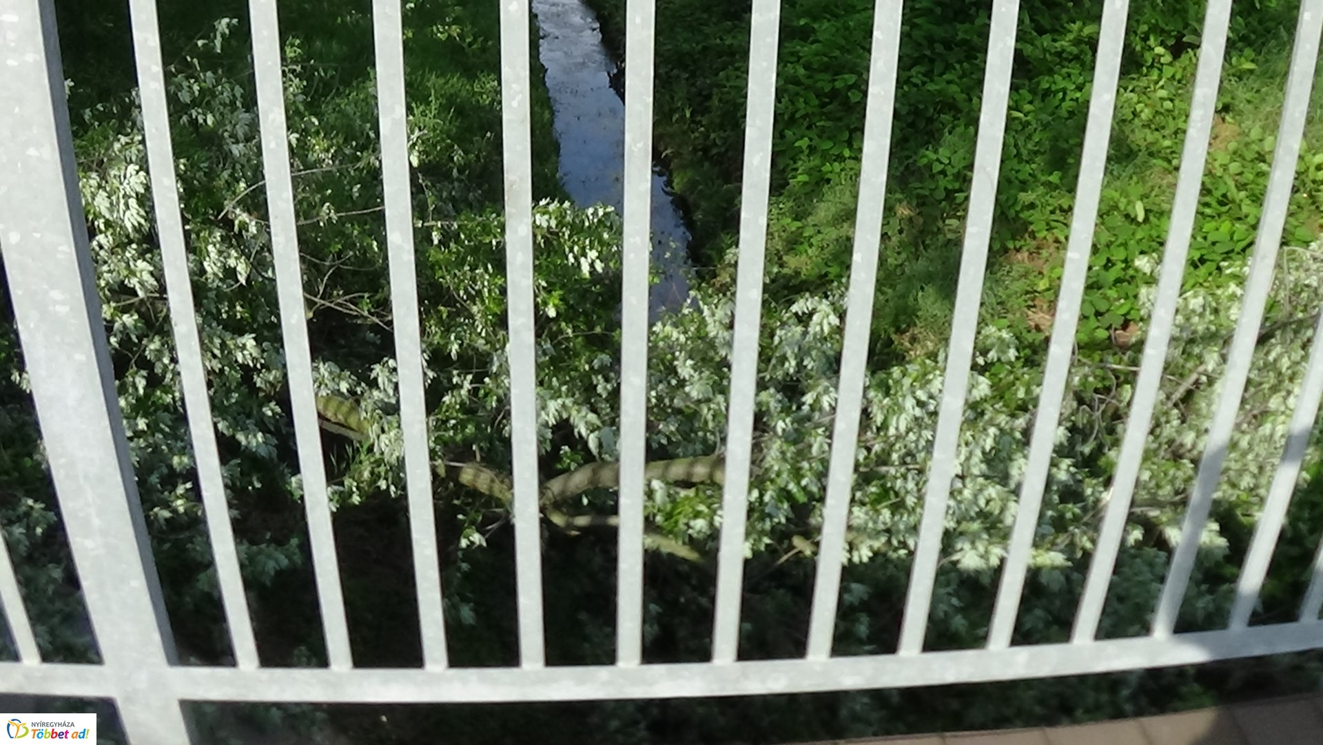 Nagy méretű faág hasadt az Ér-patak medrére