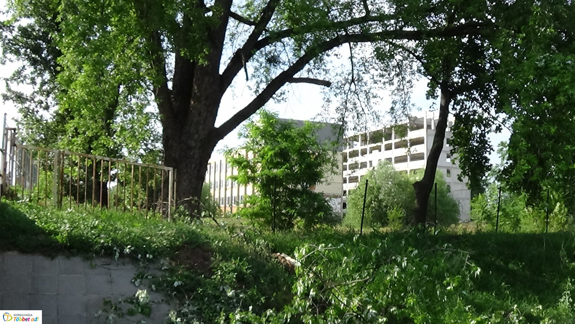 Nagy méretű faág hasadt az Ér-patak medrére