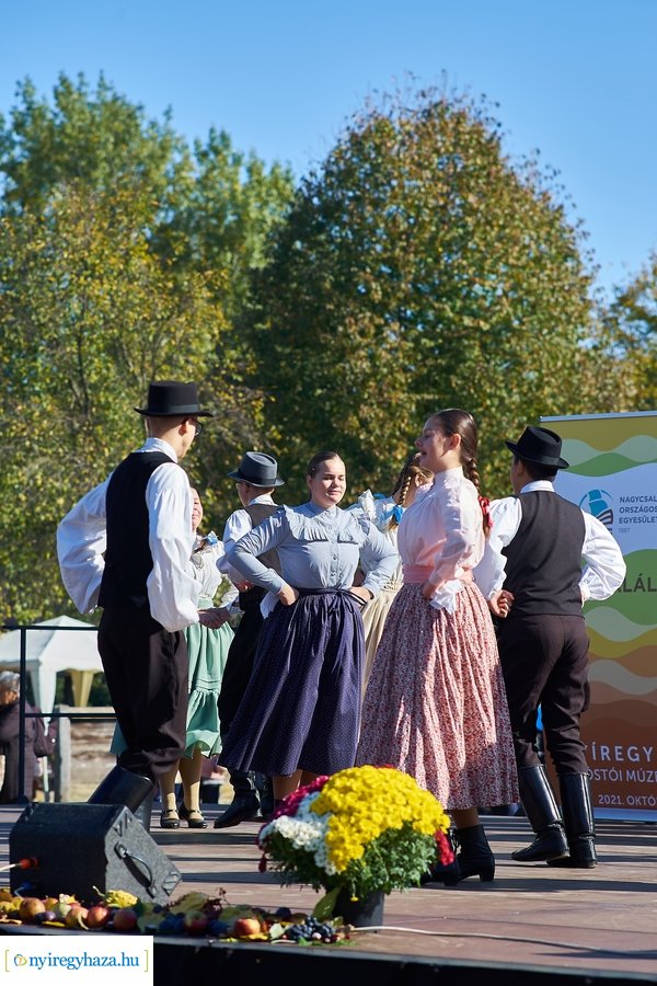 Nagycsaládosok napja a múzeumfaluban