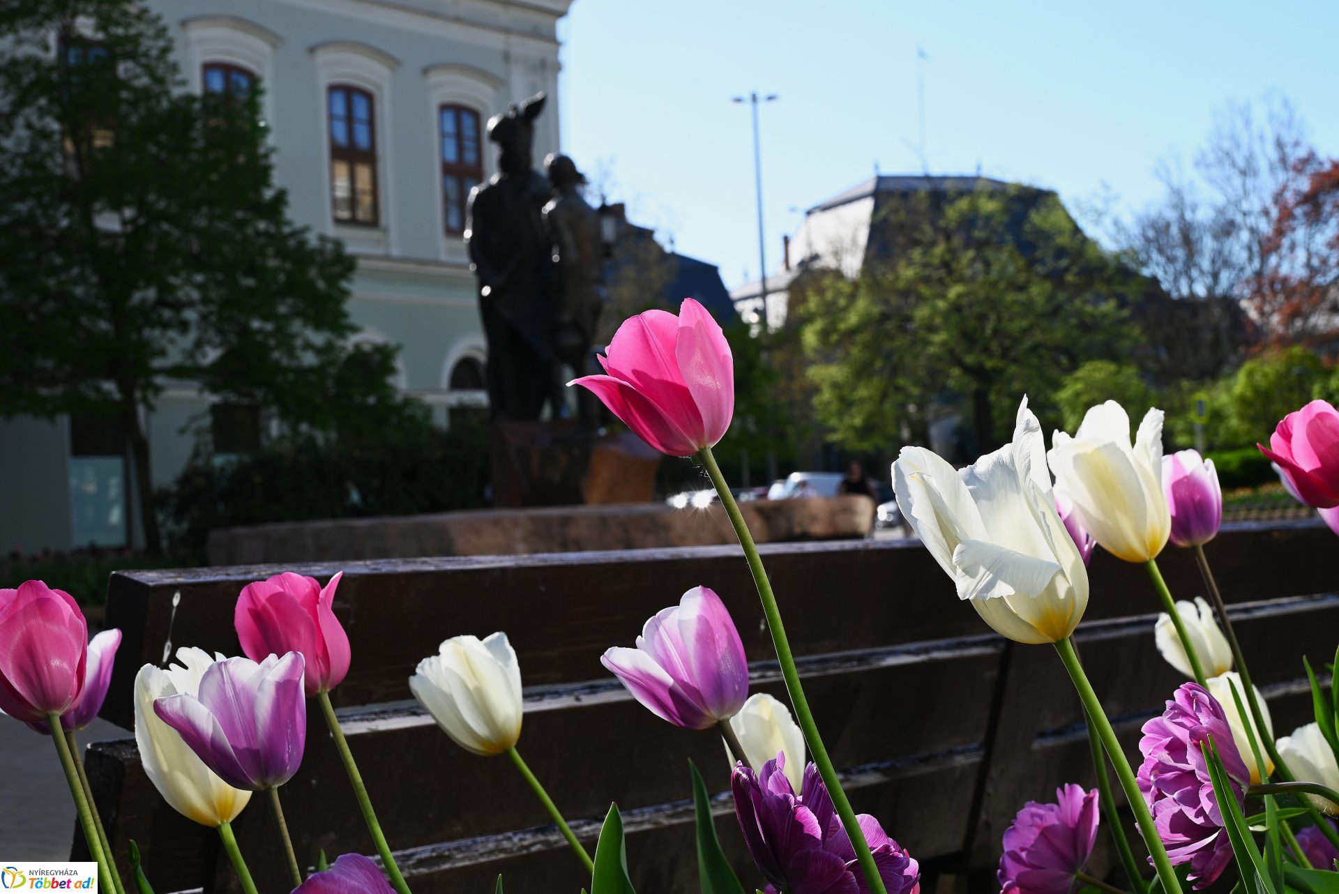 Nagyszombat nyárias napsütésben