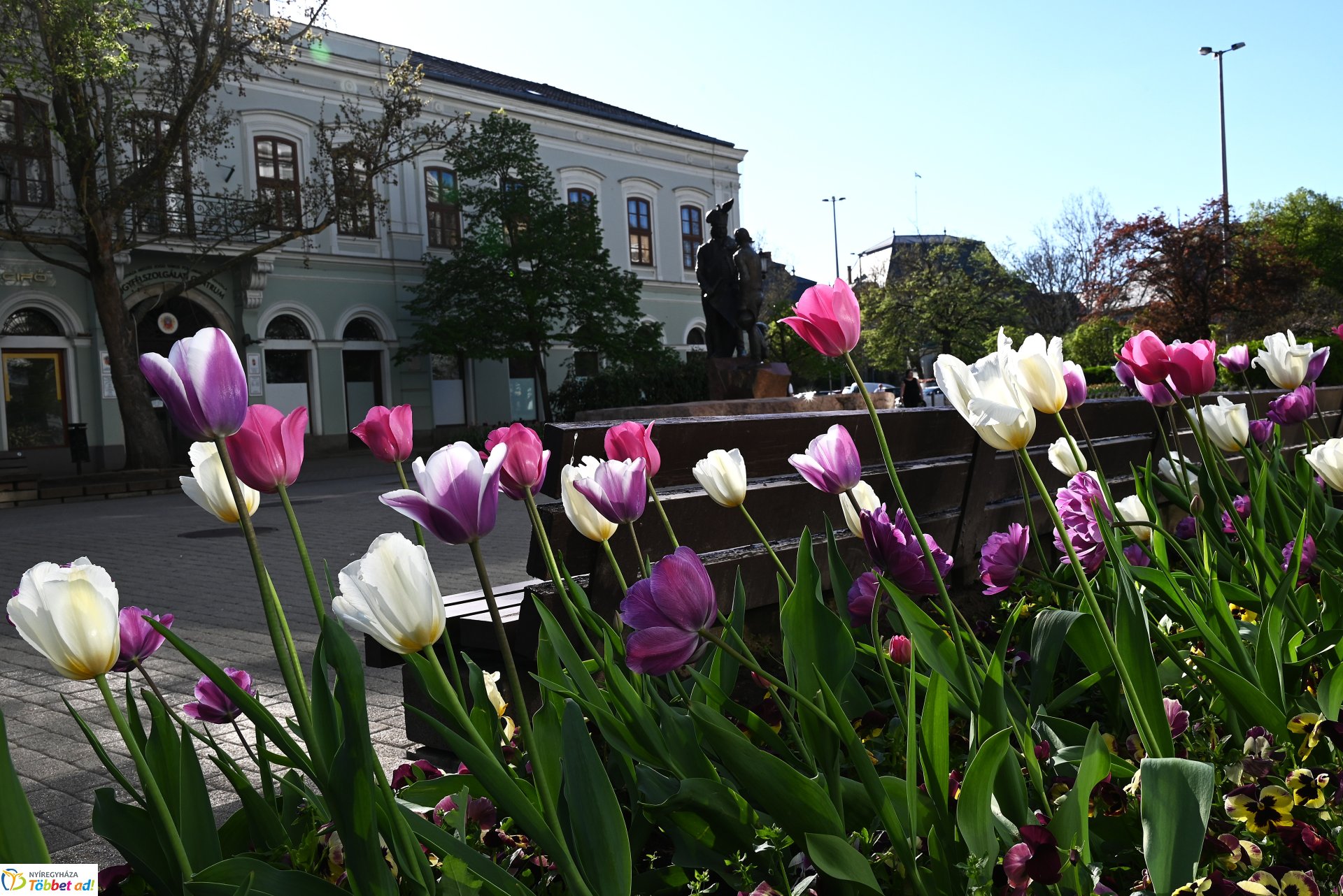 Nagyszombat nyárias napsütésben