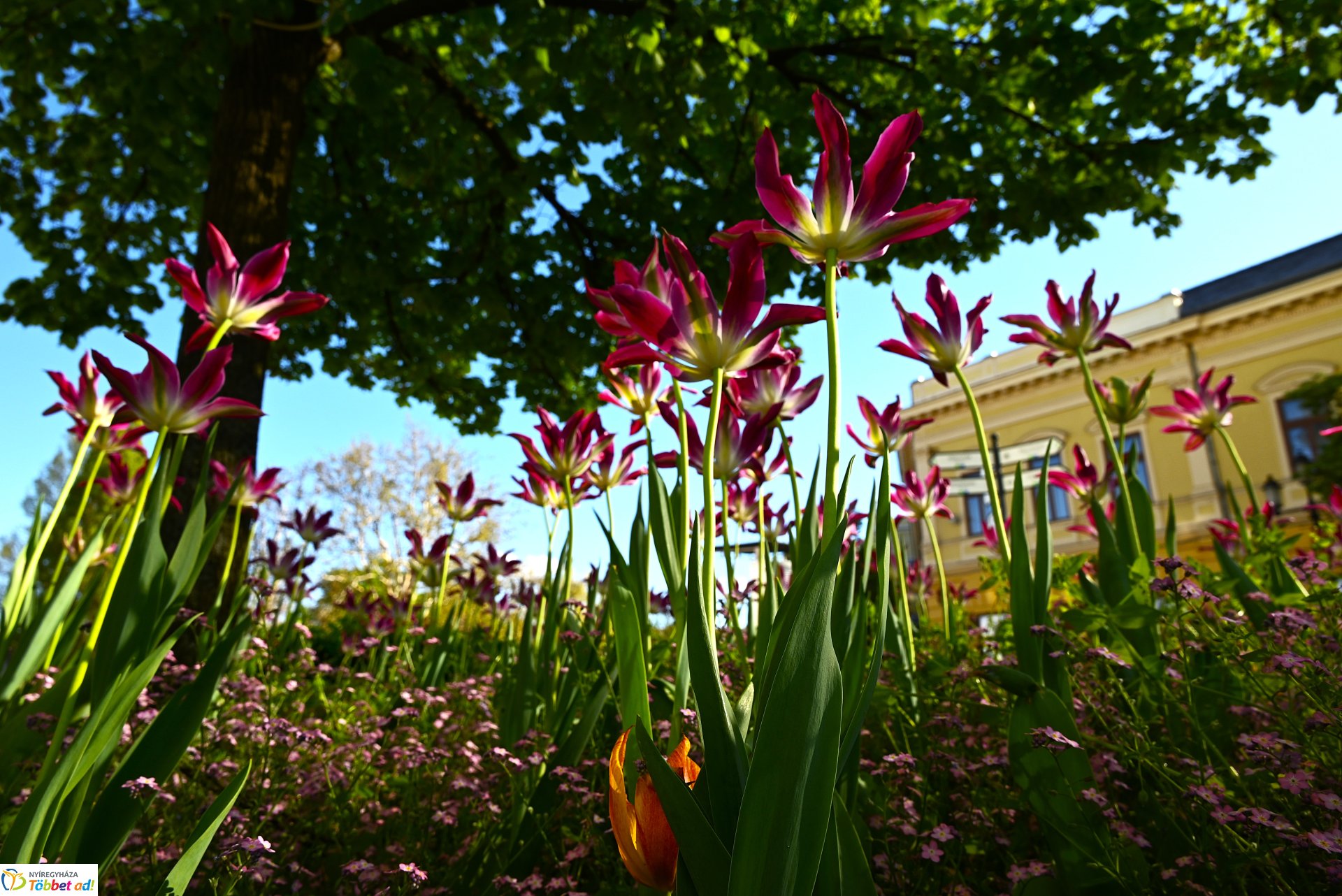Nagyszombat nyárias napsütésben