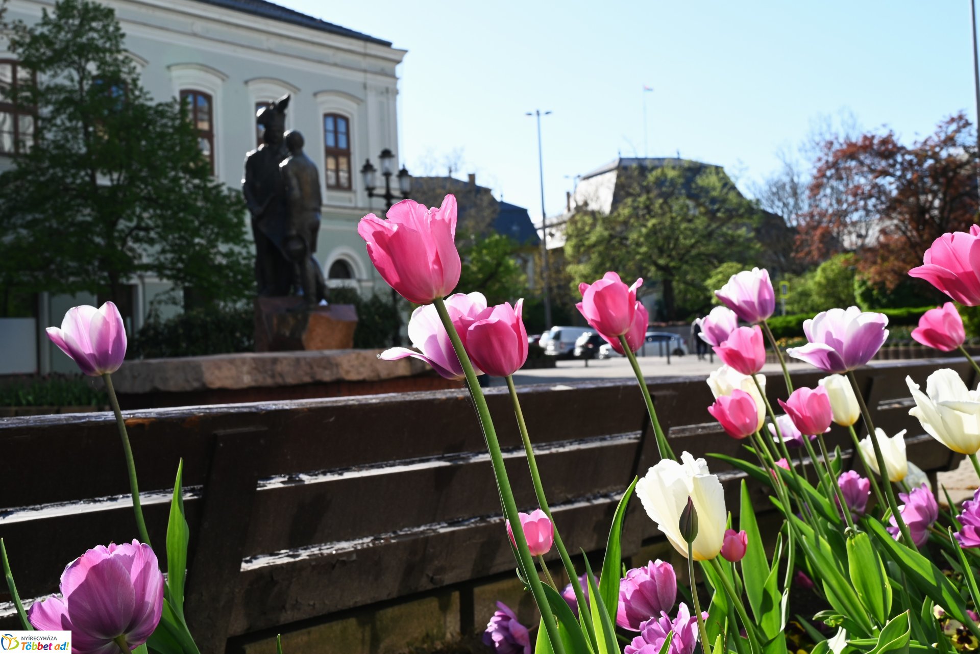 Nagyszombat nyárias napsütésben