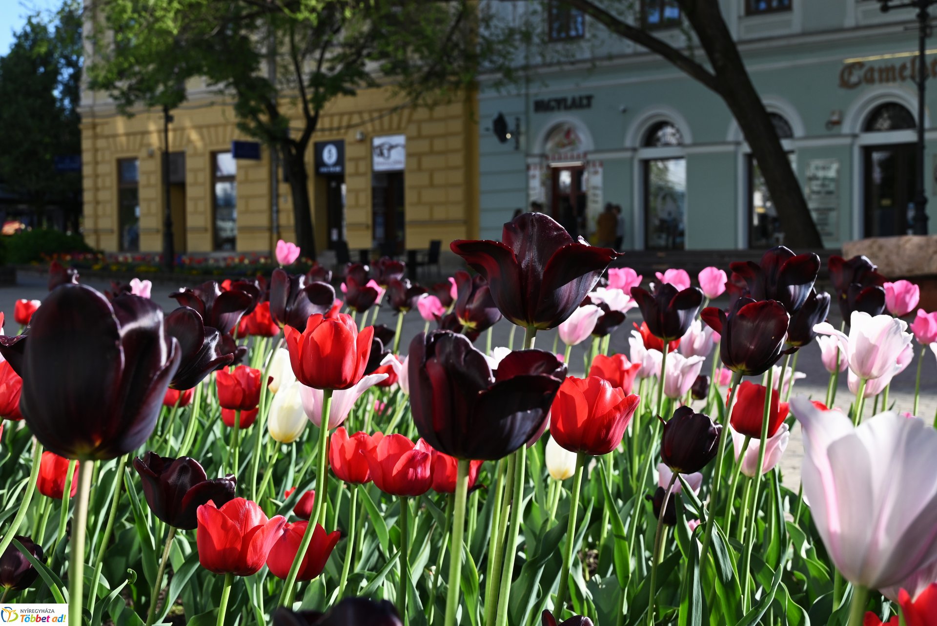 Nagyszombat nyárias napsütésben