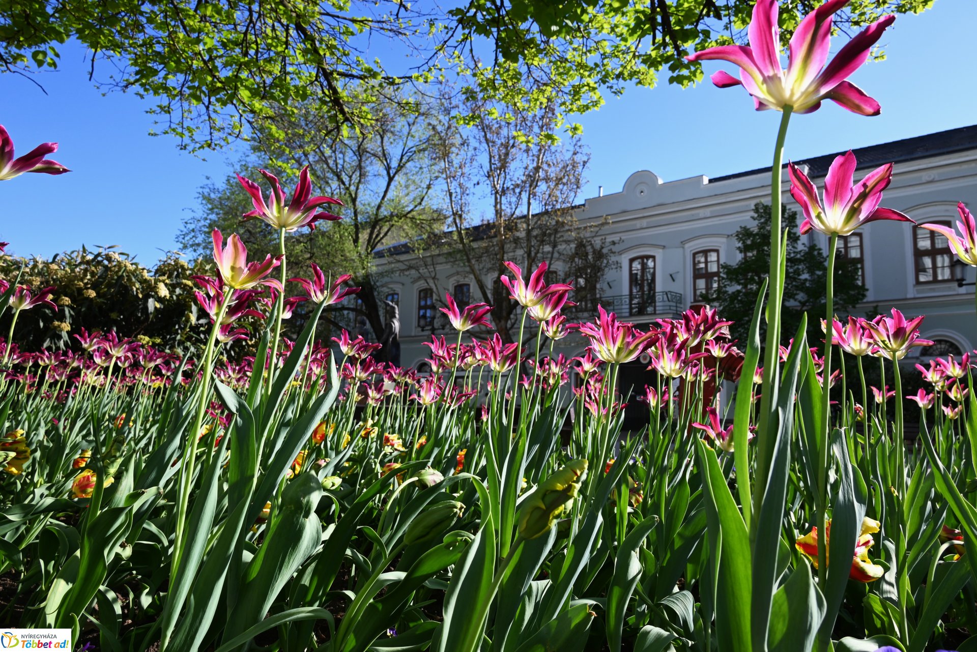 Nagyszombat nyárias napsütésben