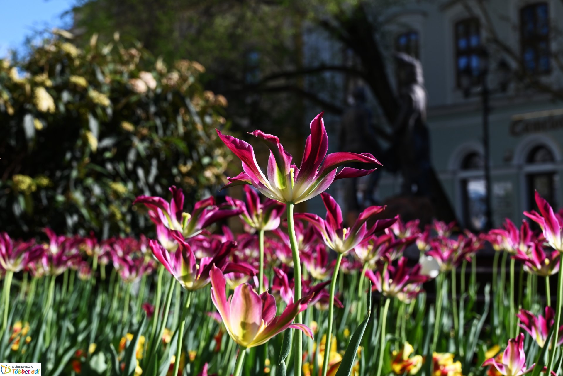 Nagyszombat nyárias napsütésben