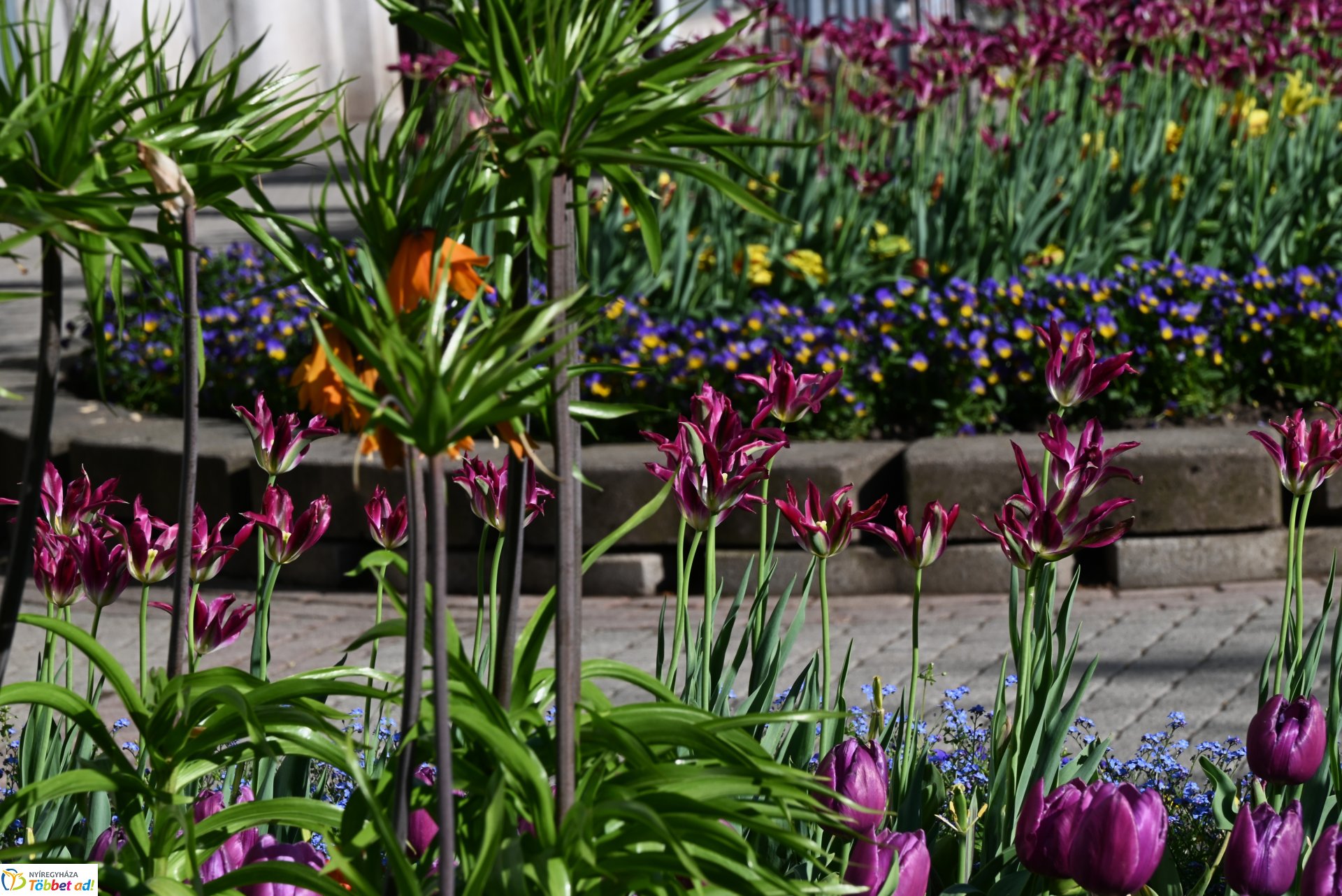 Nagyszombat nyárias napsütésben