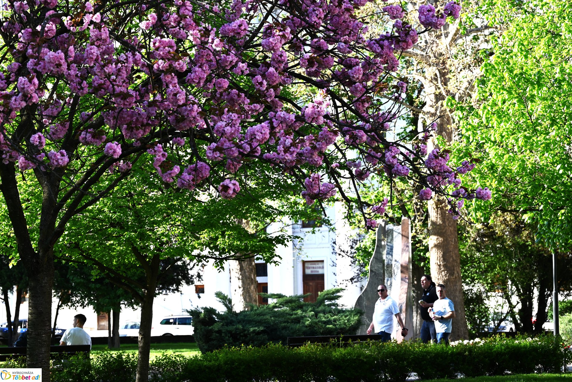 Nagyszombat nyárias napsütésben