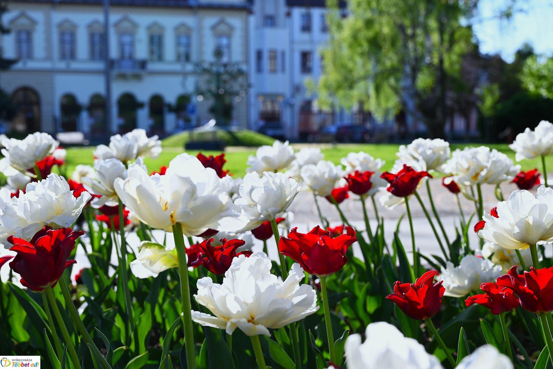 Nagyszombat nyárias napsütésben