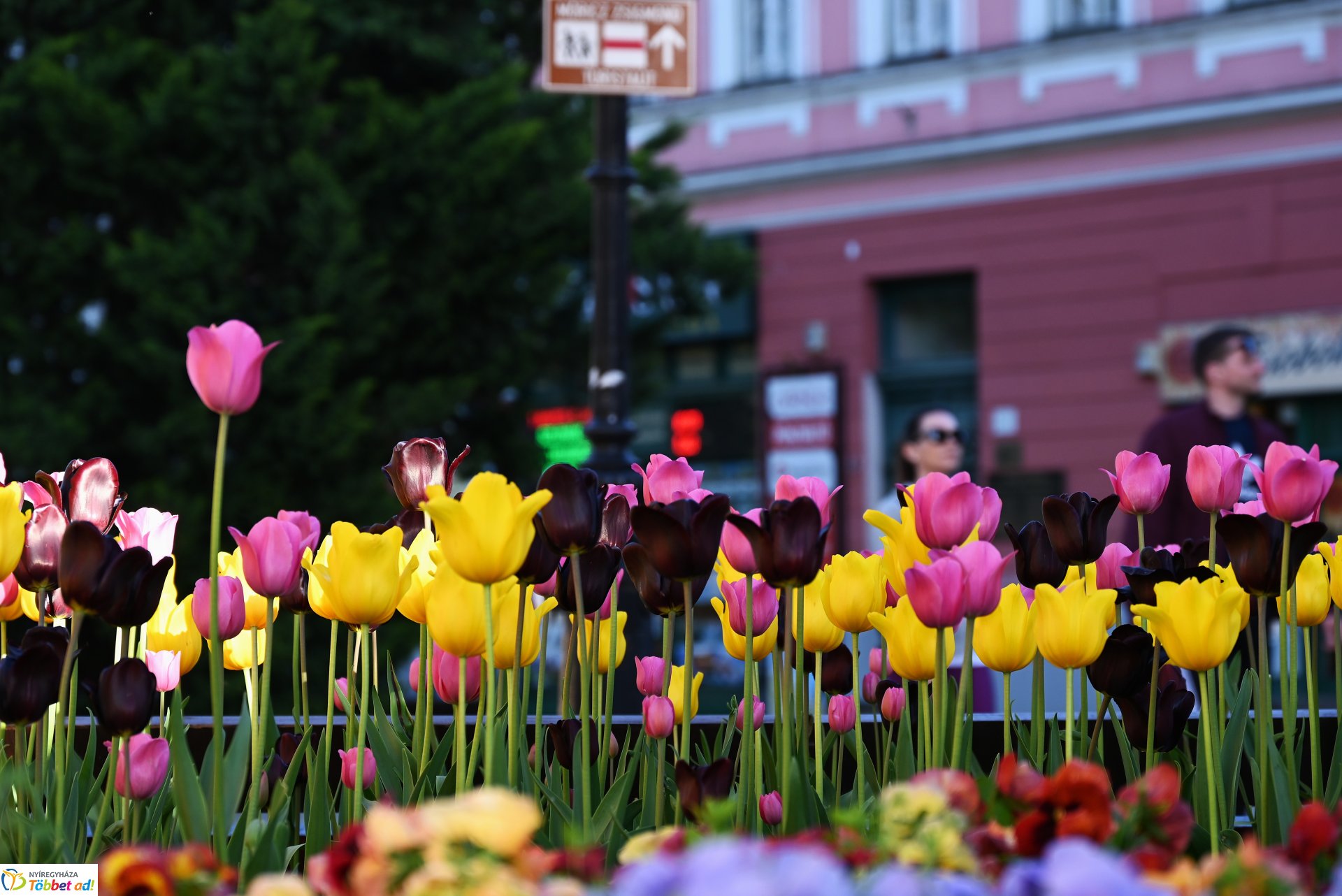 Nagyszombat nyárias napsütésben