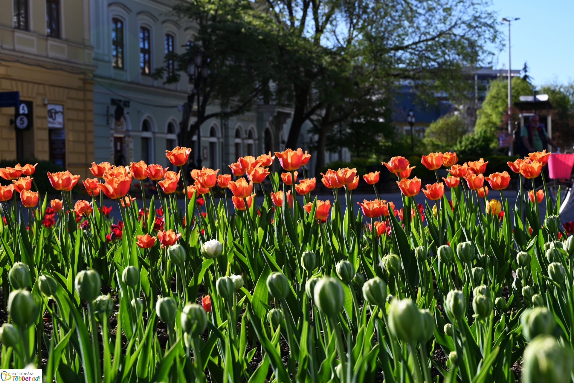 Nagyszombat nyárias napsütésben