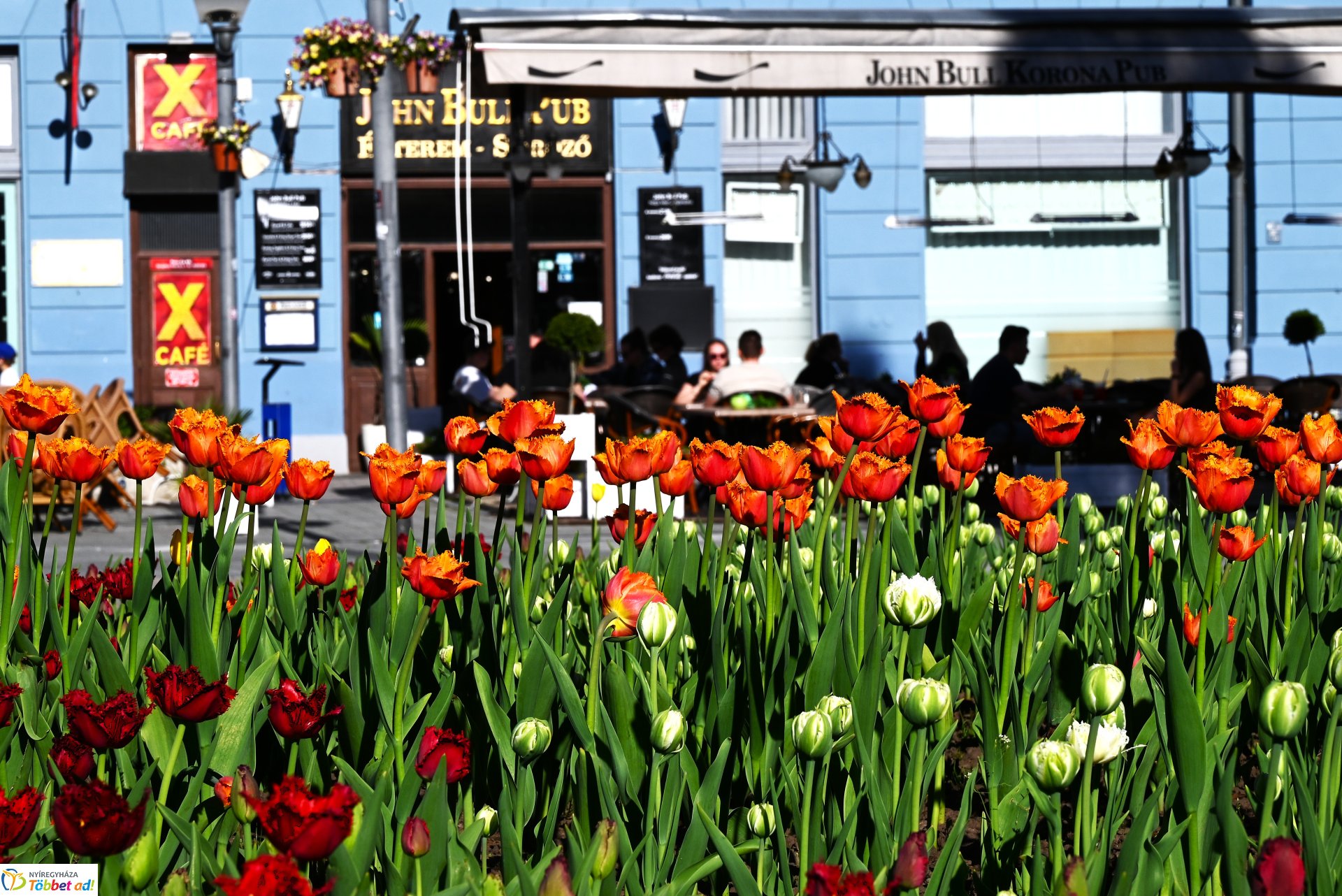 Nagyszombat nyárias napsütésben