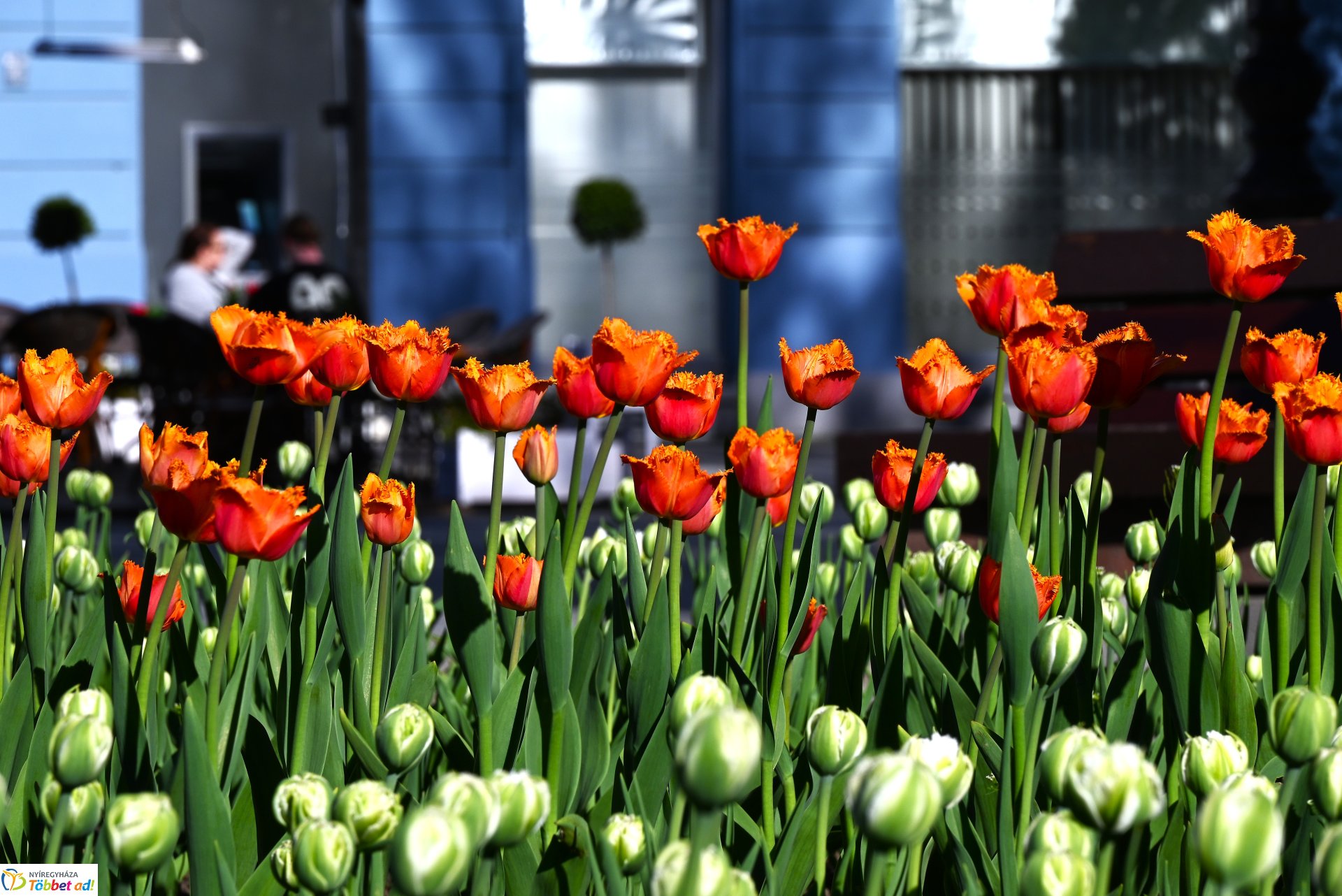 Nagyszombat nyárias napsütésben