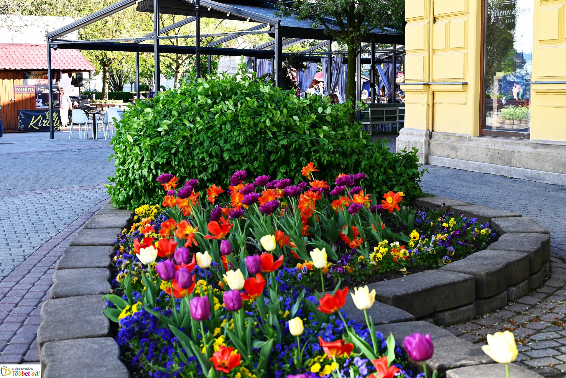 Nagyszombat nyárias napsütésben