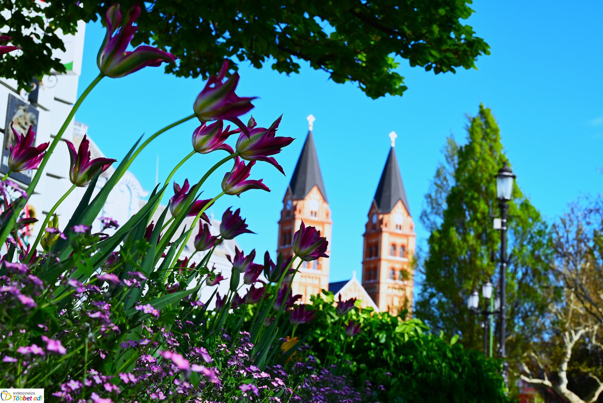 Nagyszombat nyárias napsütésben