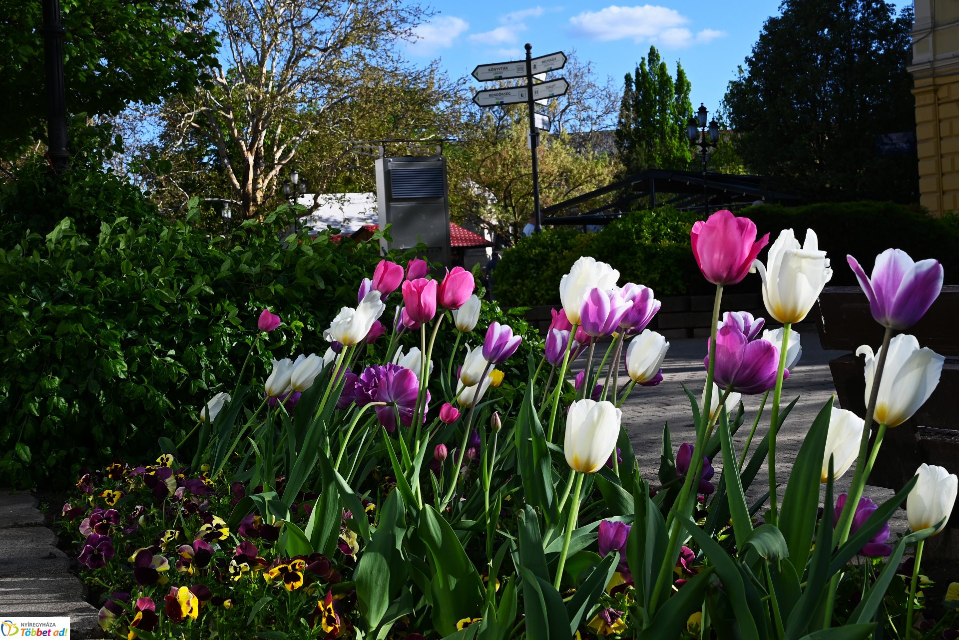 Nagyszombat nyárias napsütésben