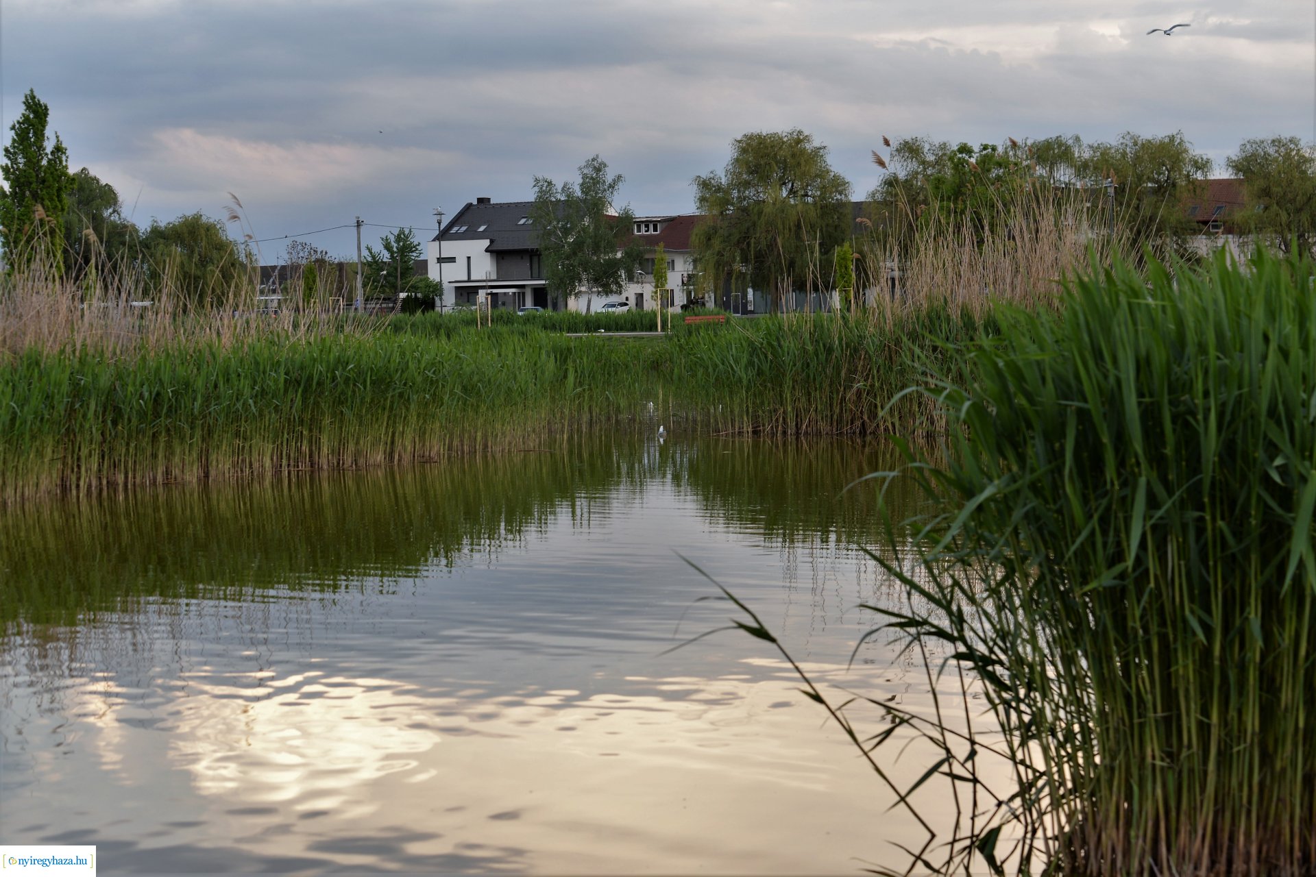 Naplemente a Bujtosi tó partján