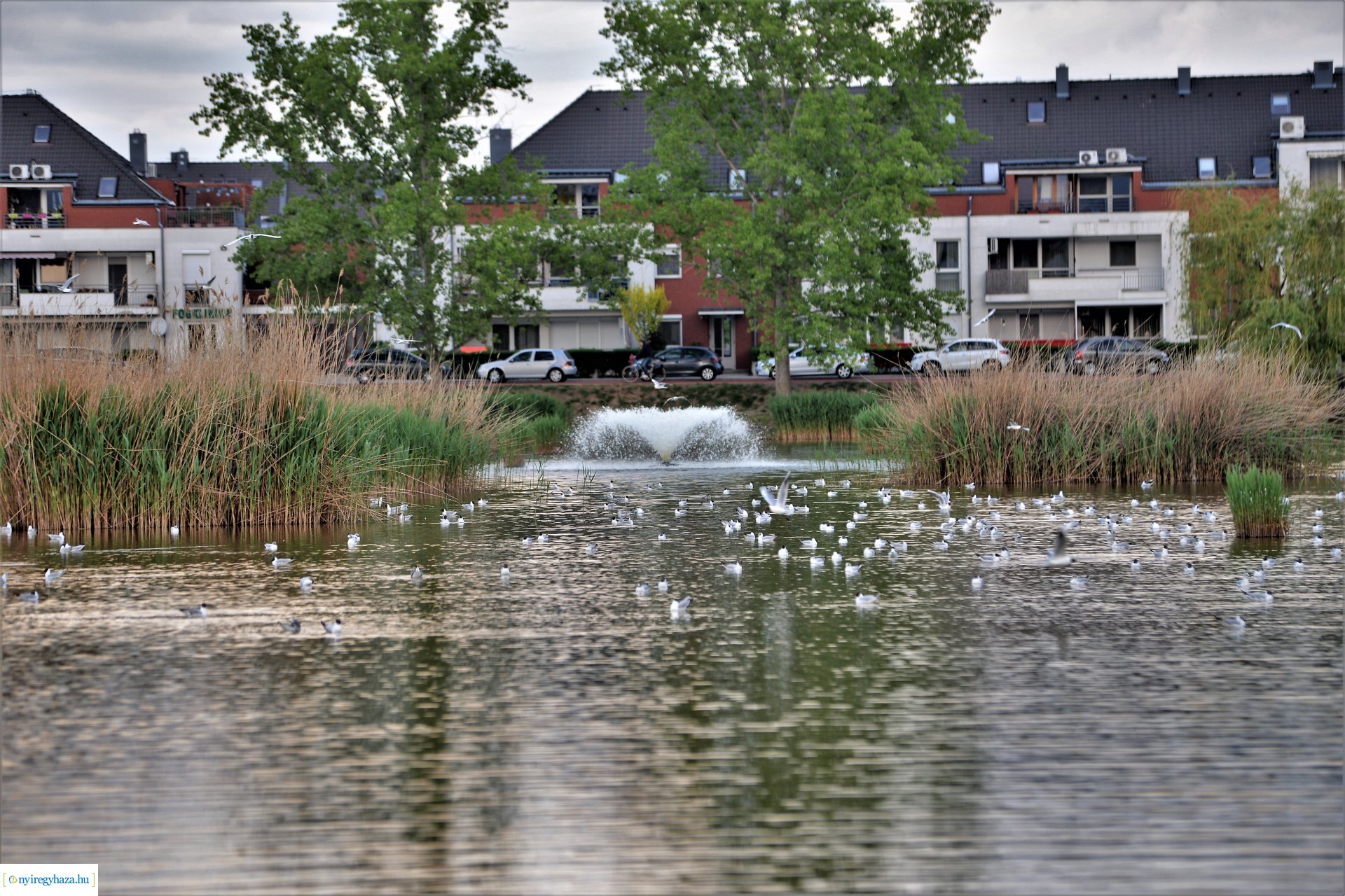 Naplemente a Bujtosi tó partján