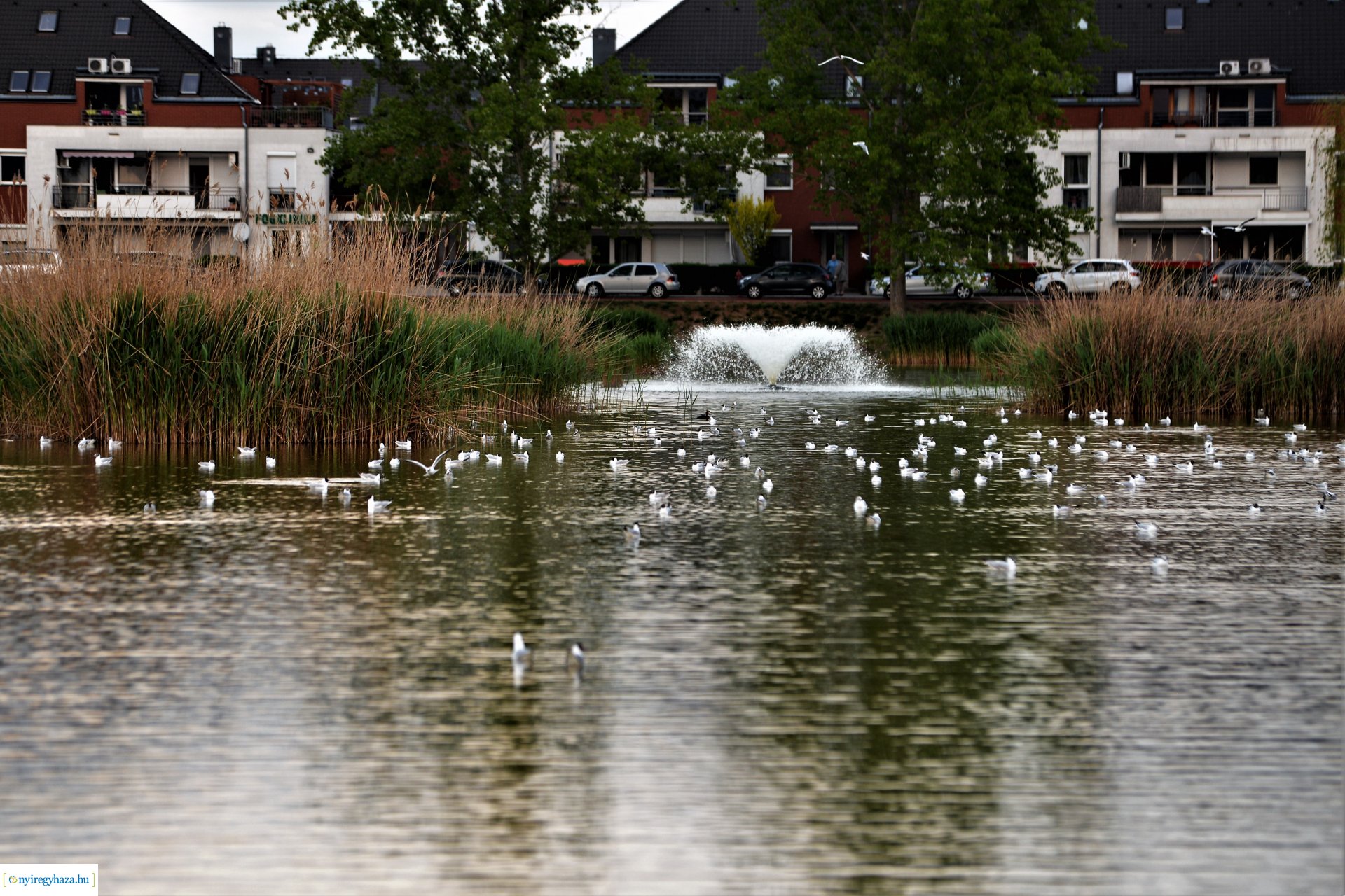 Naplemente a Bujtosi tó partján