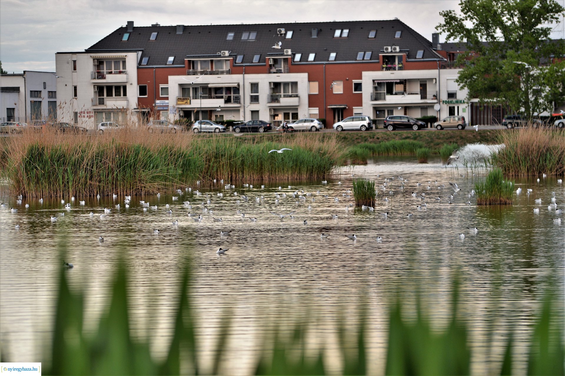 Naplemente a Bujtosi tó partján