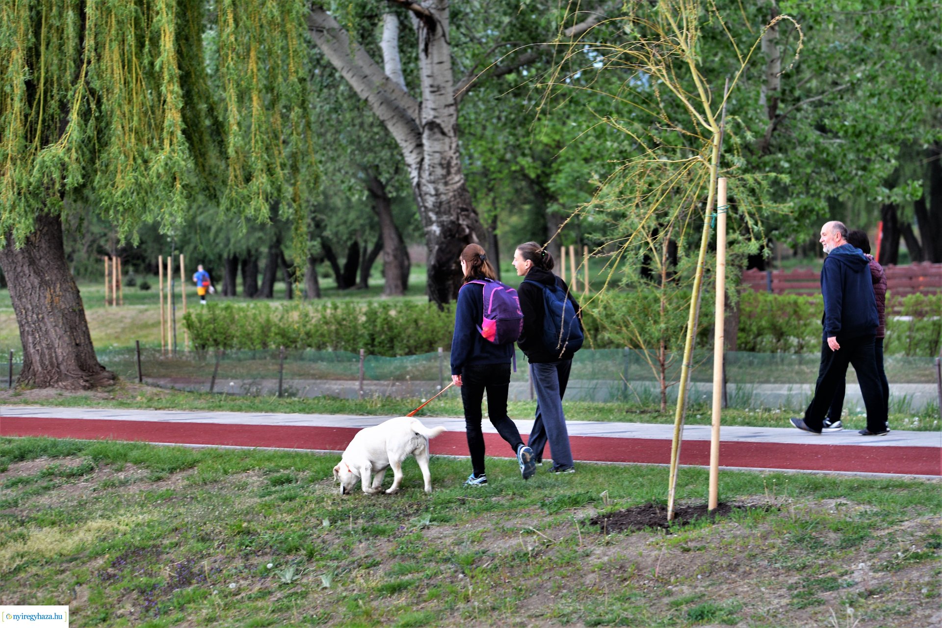 Naplemente a Bujtosi tó partján