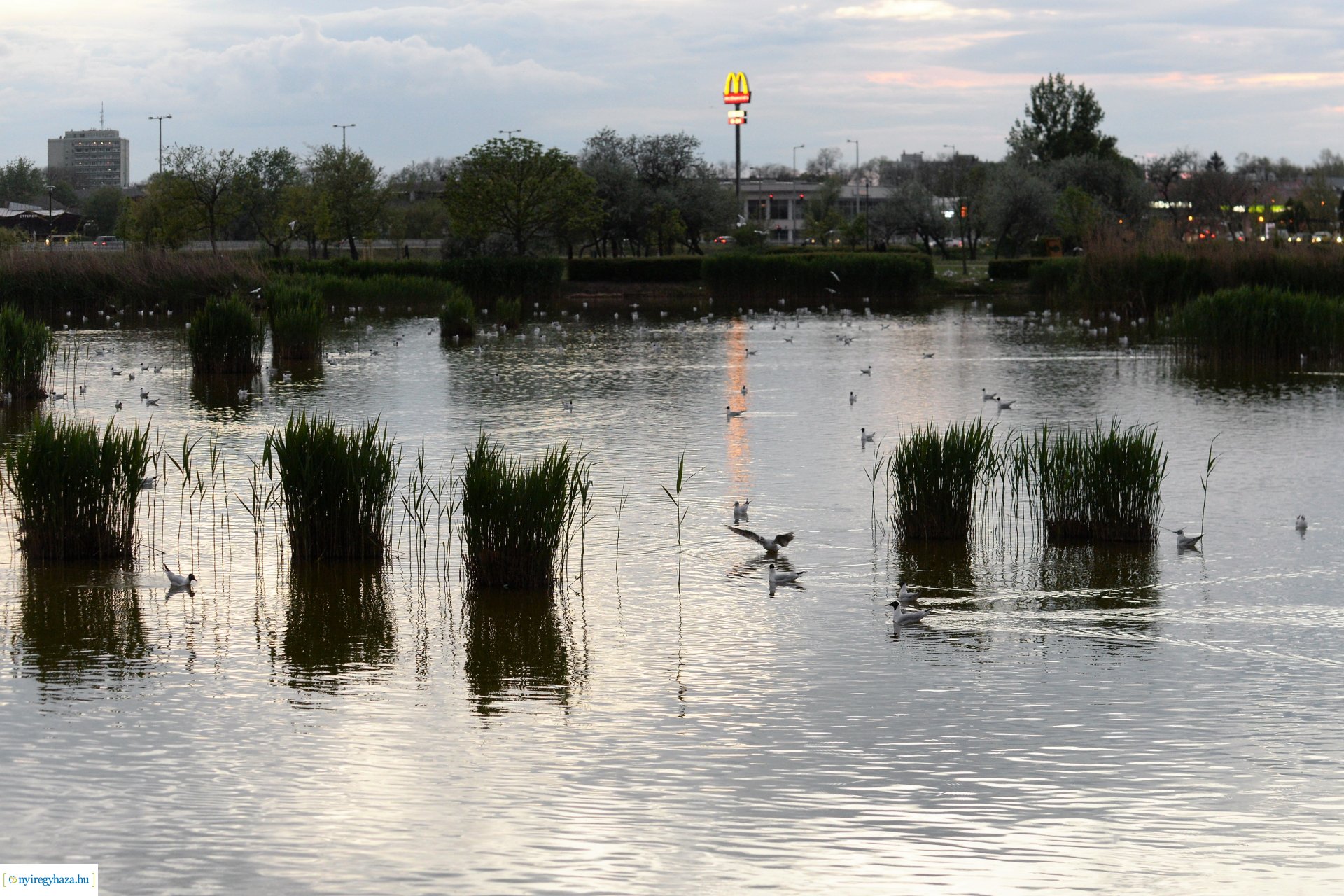 Naplemente a Bujtosi tó partján