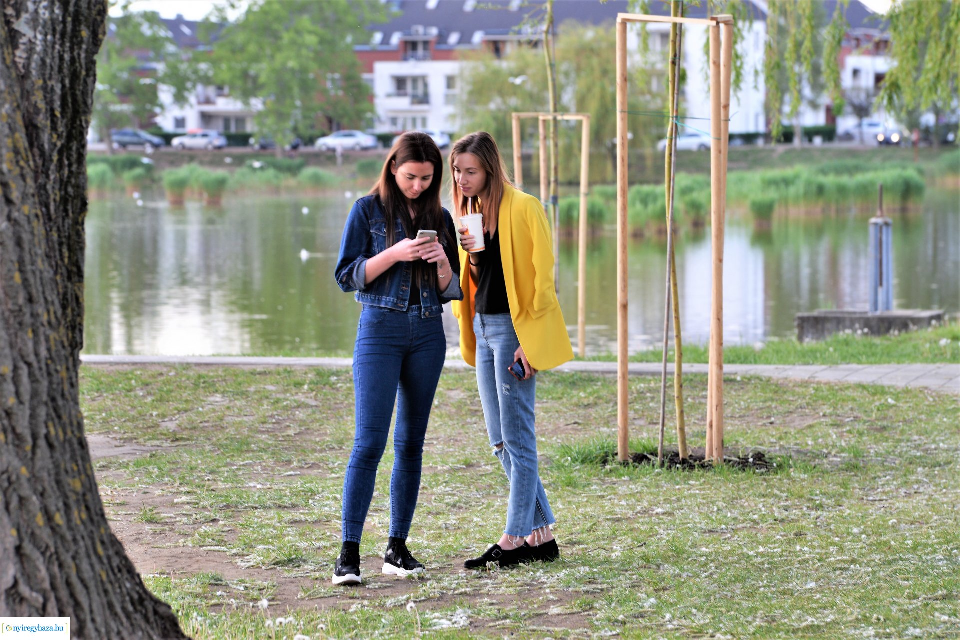 Naplemente a Bujtosi tó partján