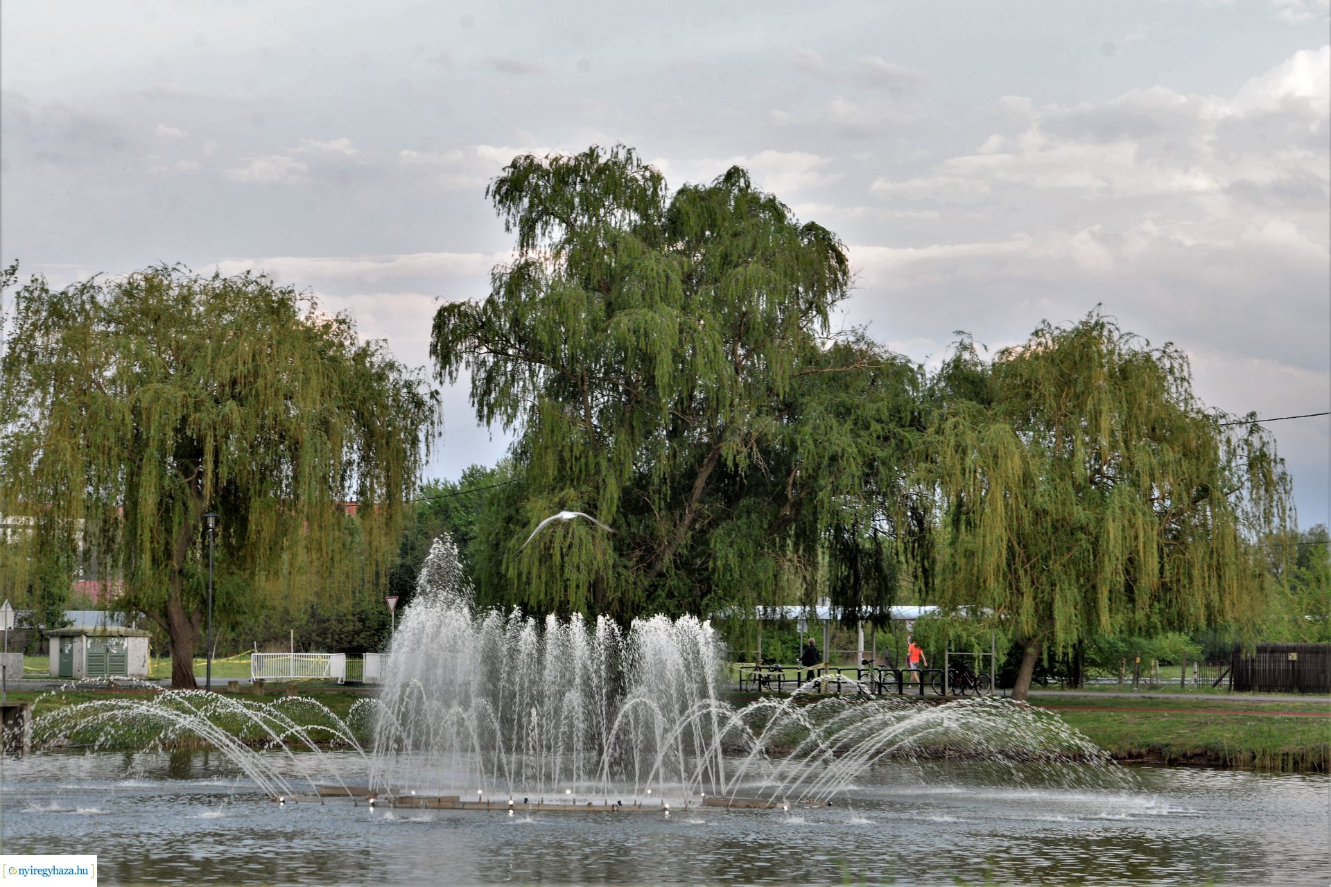 Naplemente a Bujtosi tó partján