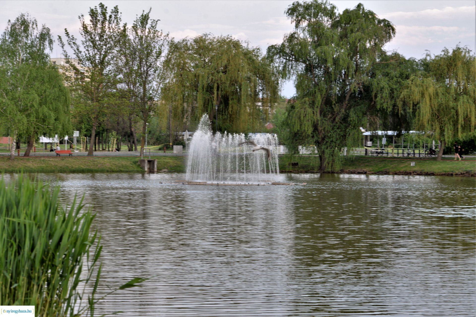 Naplemente a Bujtosi tó partján