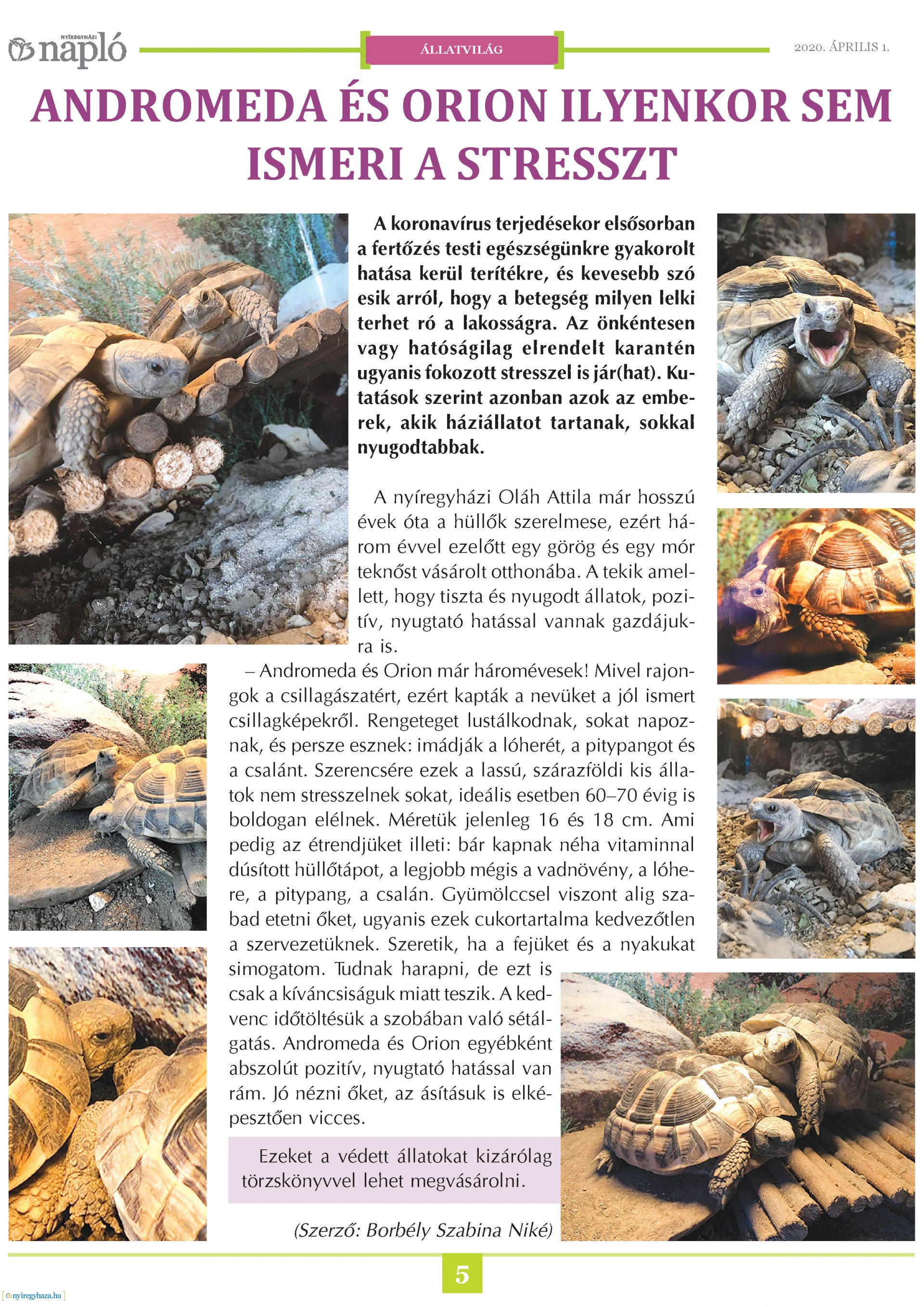 Napló 2020.04.01.