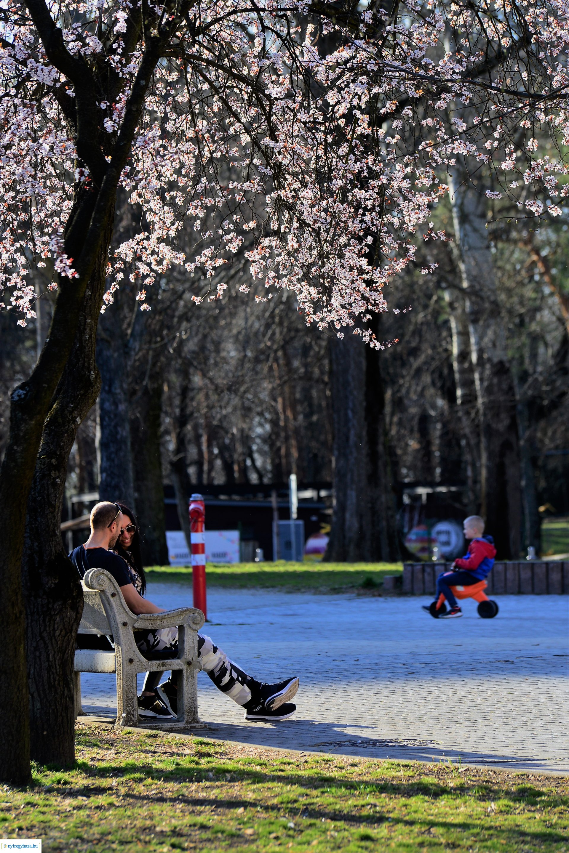 Napsütéses tavaszi délután Sóstón