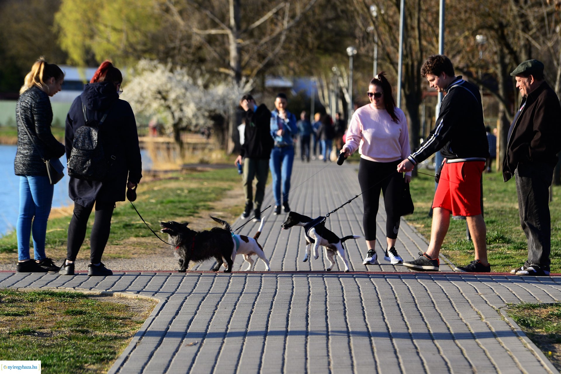 Napsütéses tavaszi délután Sóstón